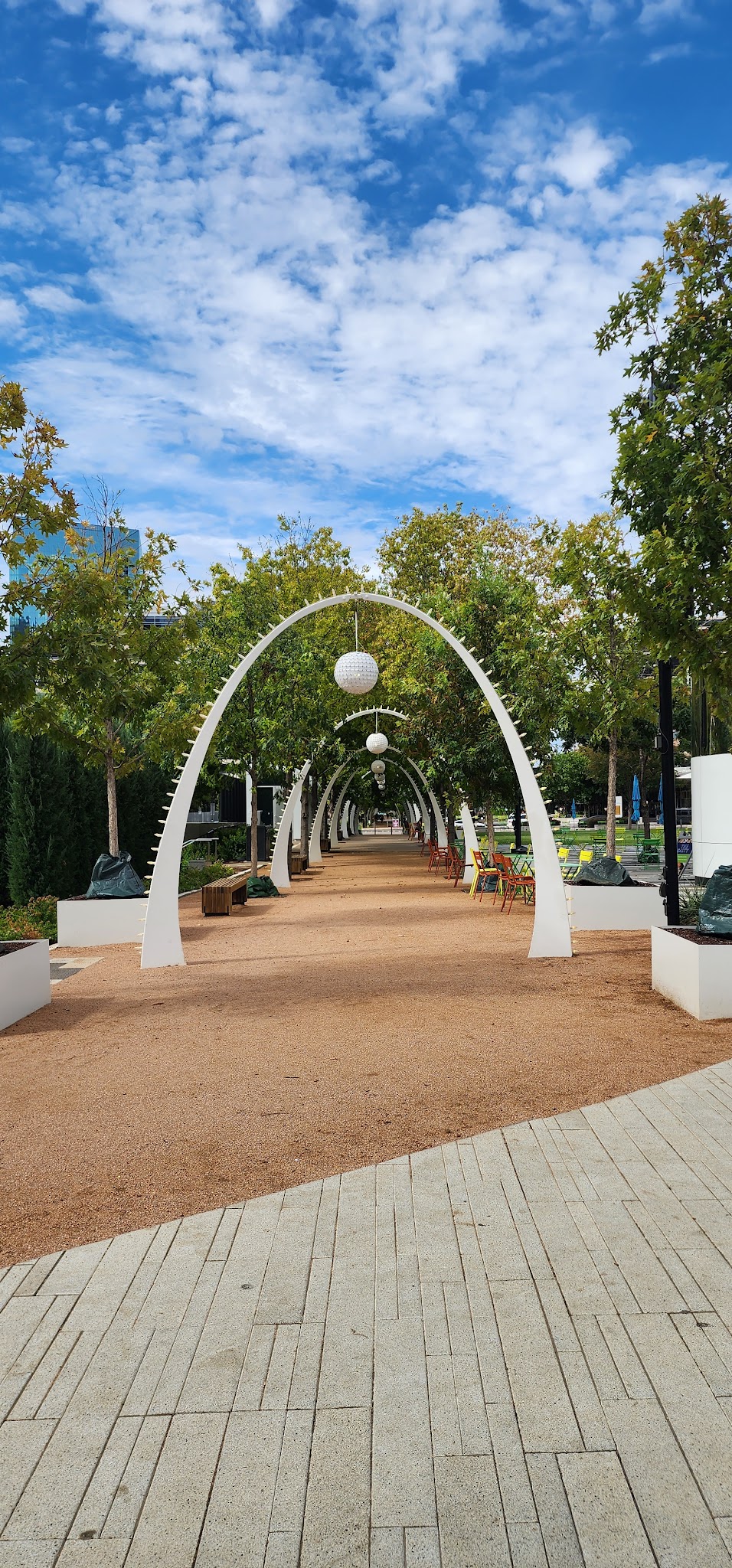 My Best Friend's Park - Dallas, TX