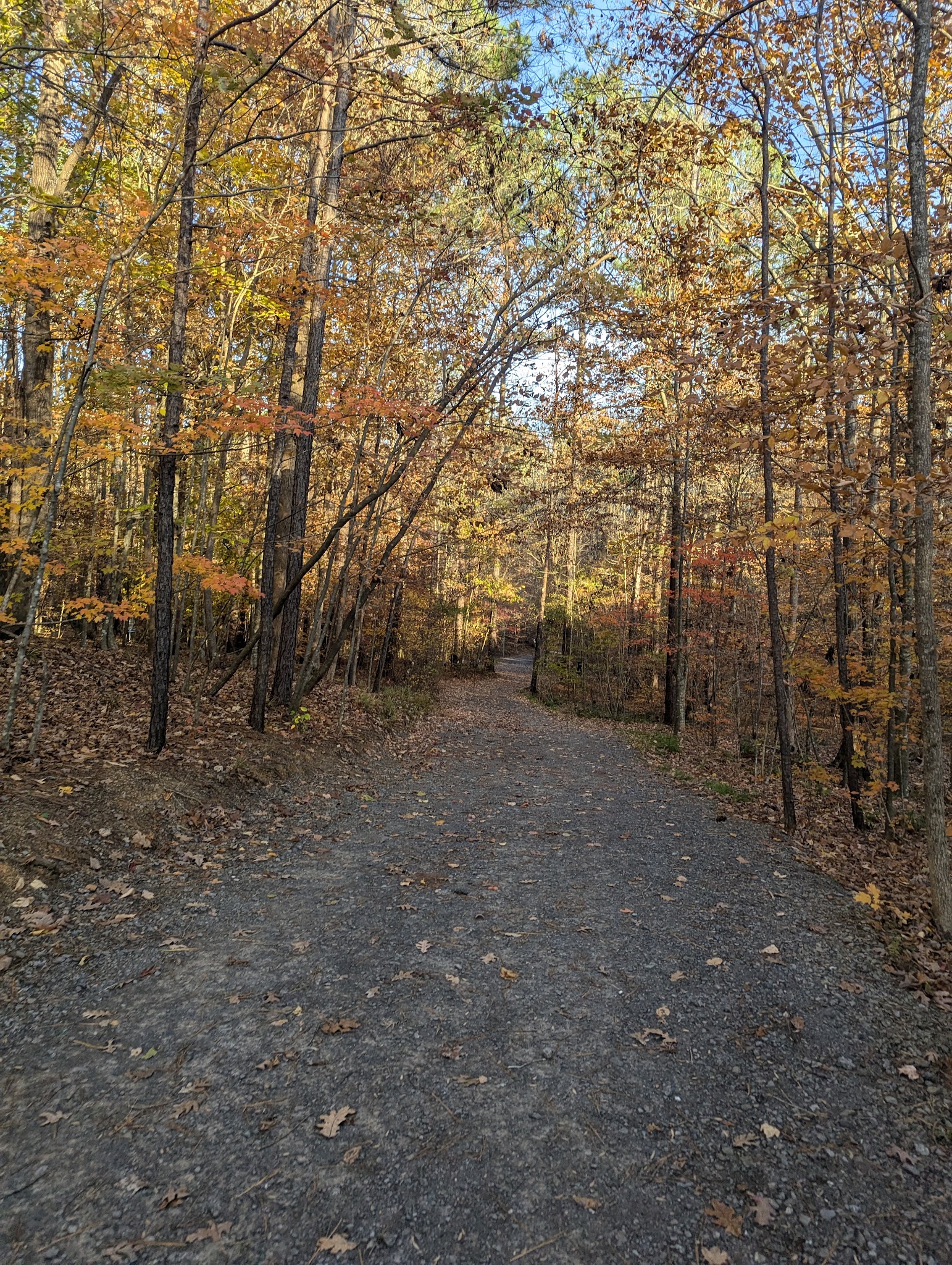 Edwards Park - Dalton, GA