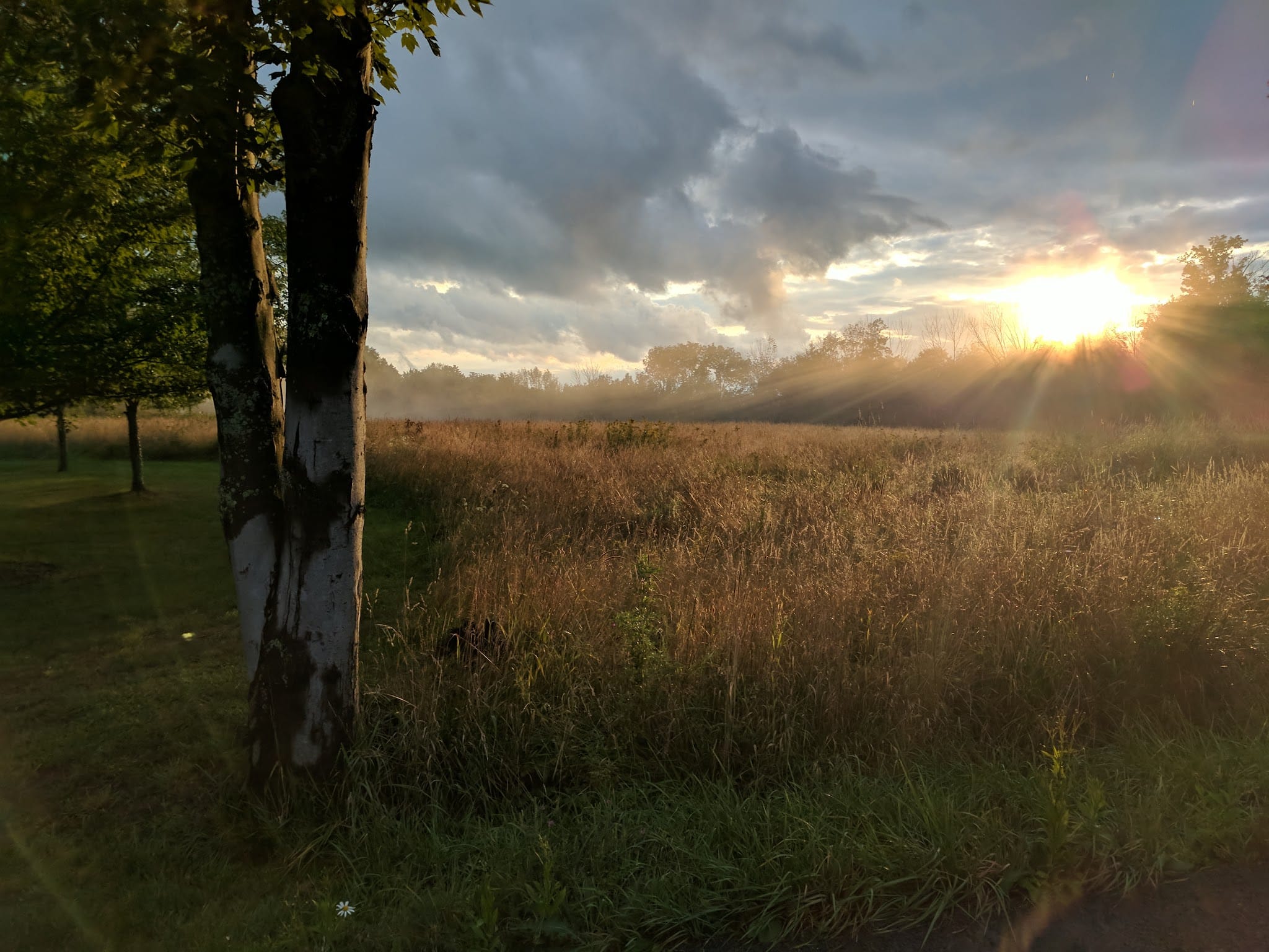 Meadowsweet Preserve - Dalton, PA
