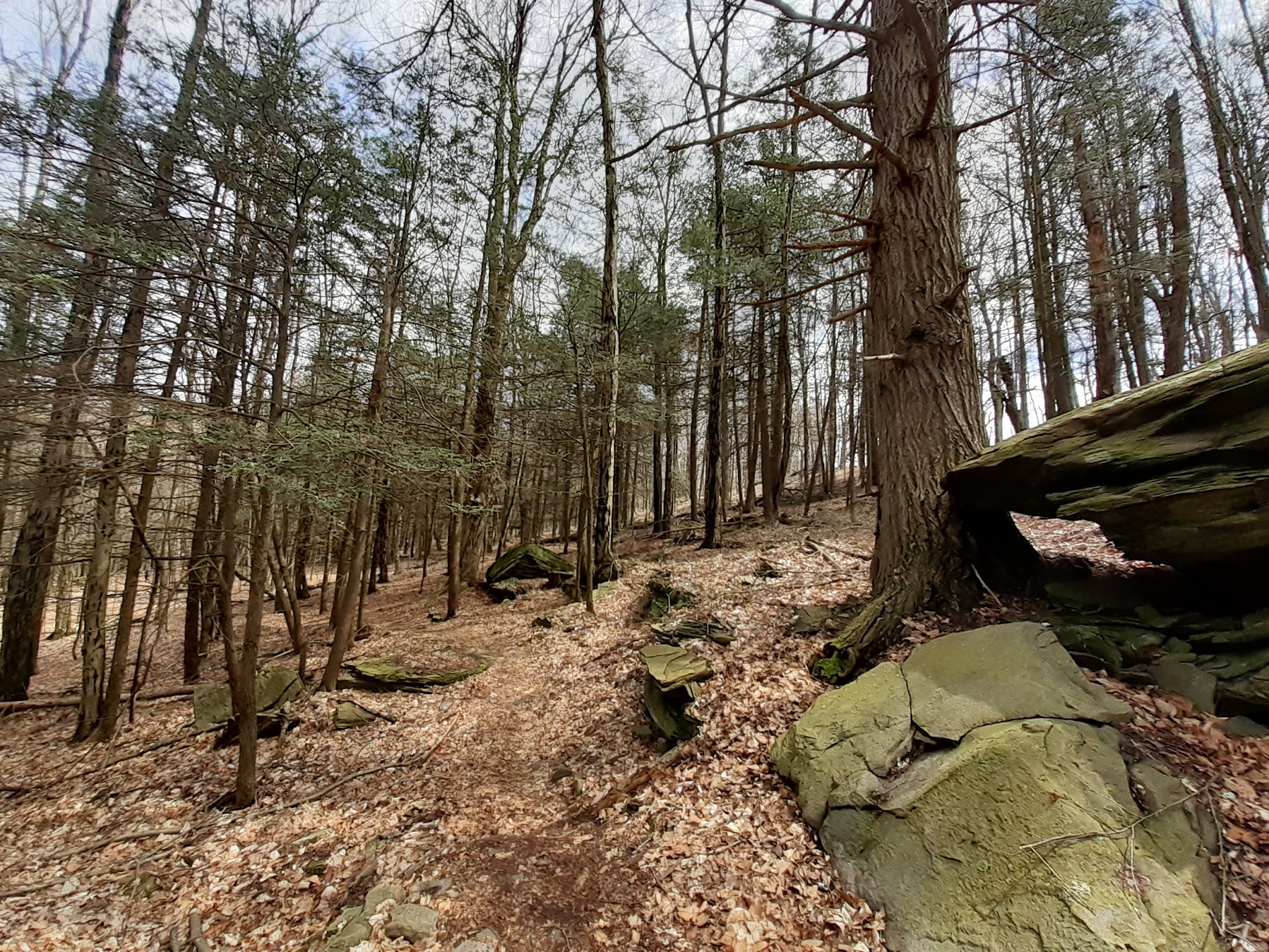 Meadowsweet Preserve - Dalton, PA
