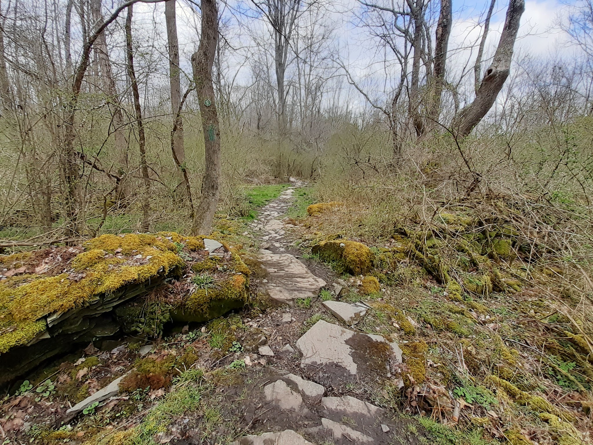 Meadowsweet Preserve - Dalton, PA
