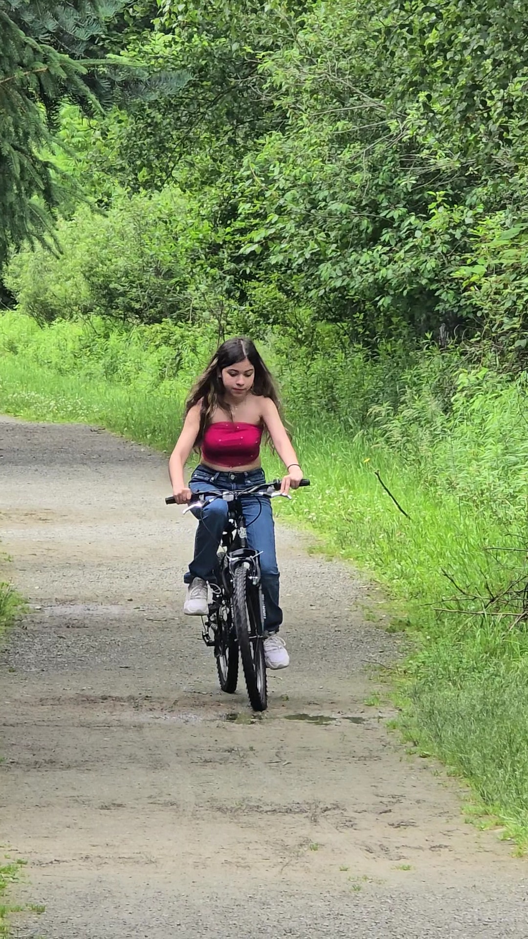 Roz peck memorial trailhead - Dalton, PA