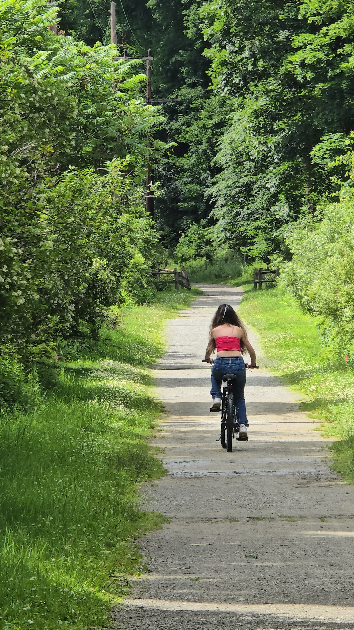 Roz peck memorial trailhead - Dalton, PA