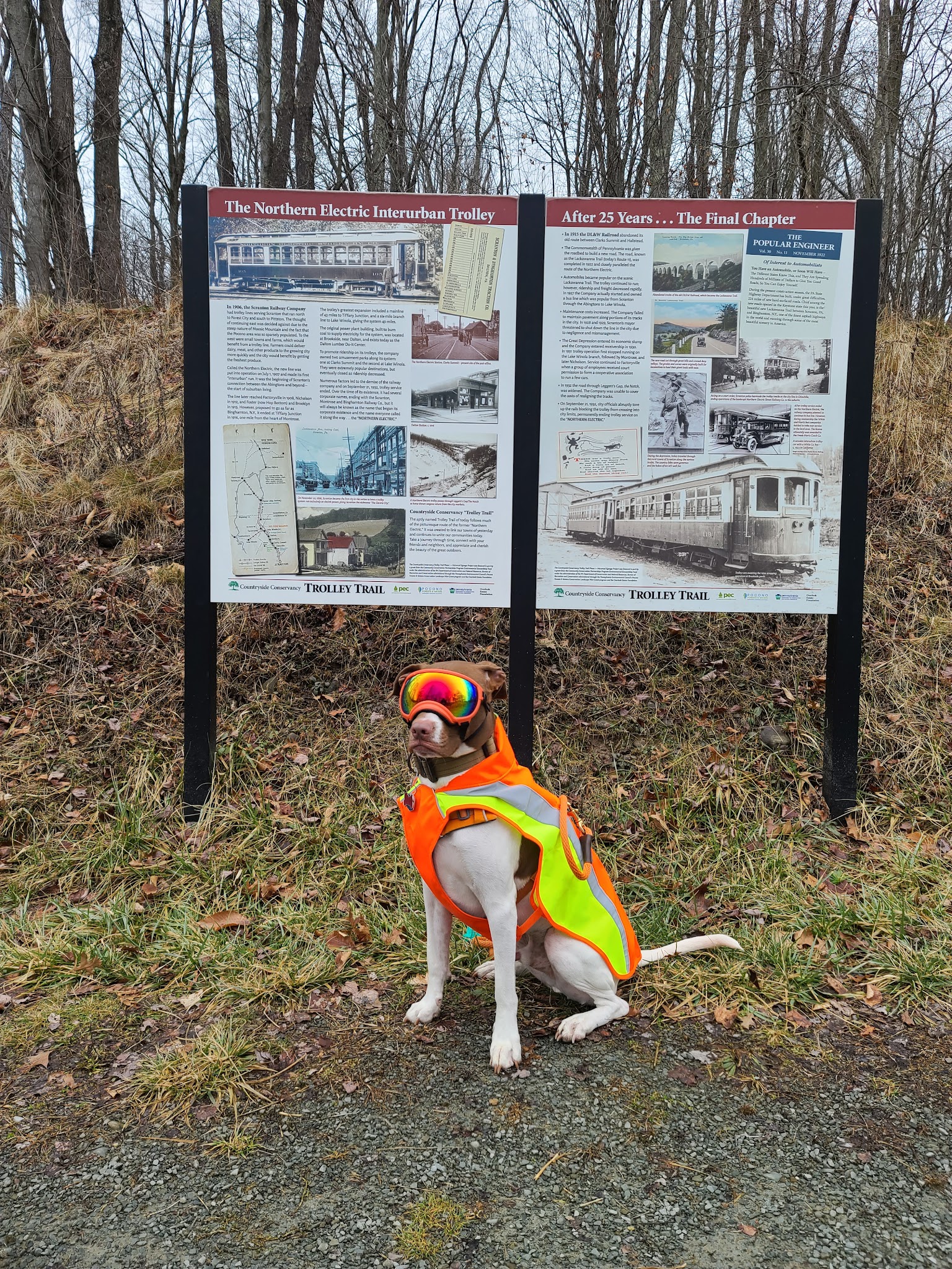 Roz peck memorial trailhead - Dalton, PA