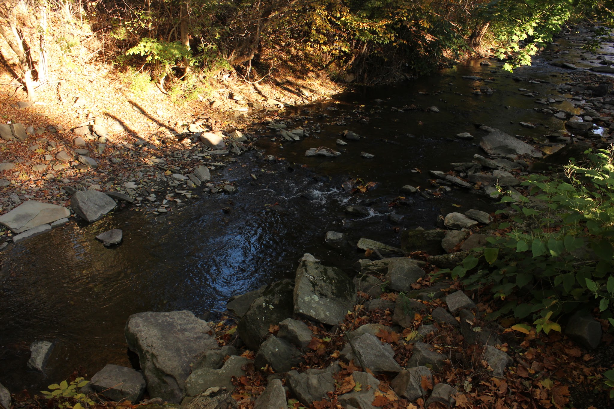 Stream Side Park - Dalton, PA