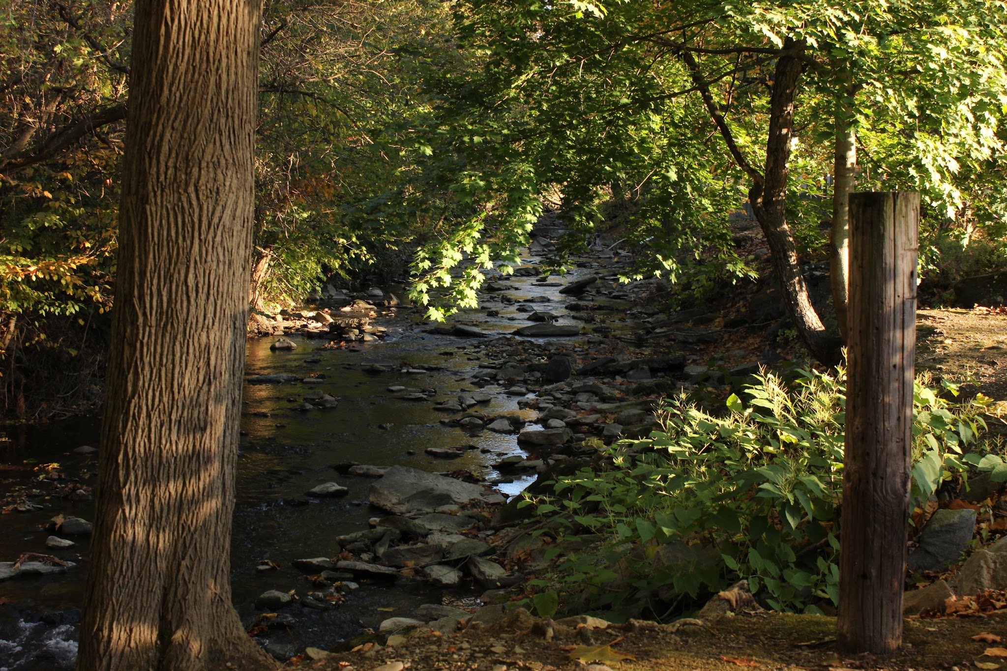Stream Side Park - Dalton, PA