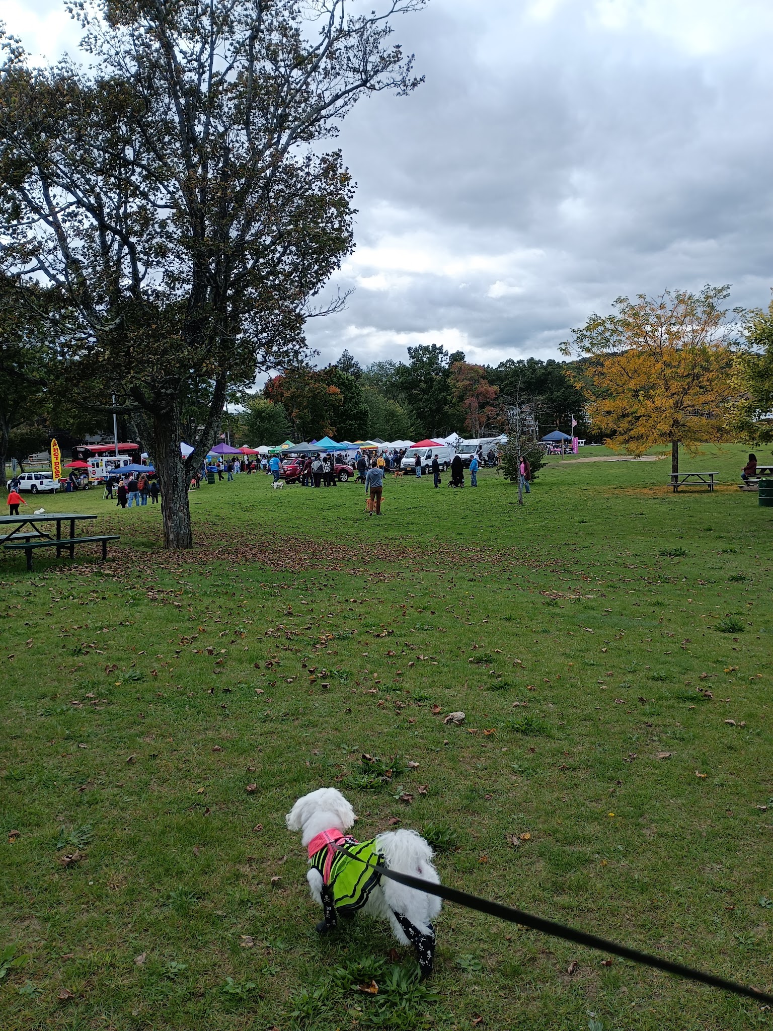 Danbury Dog Rock - Danbury, CT