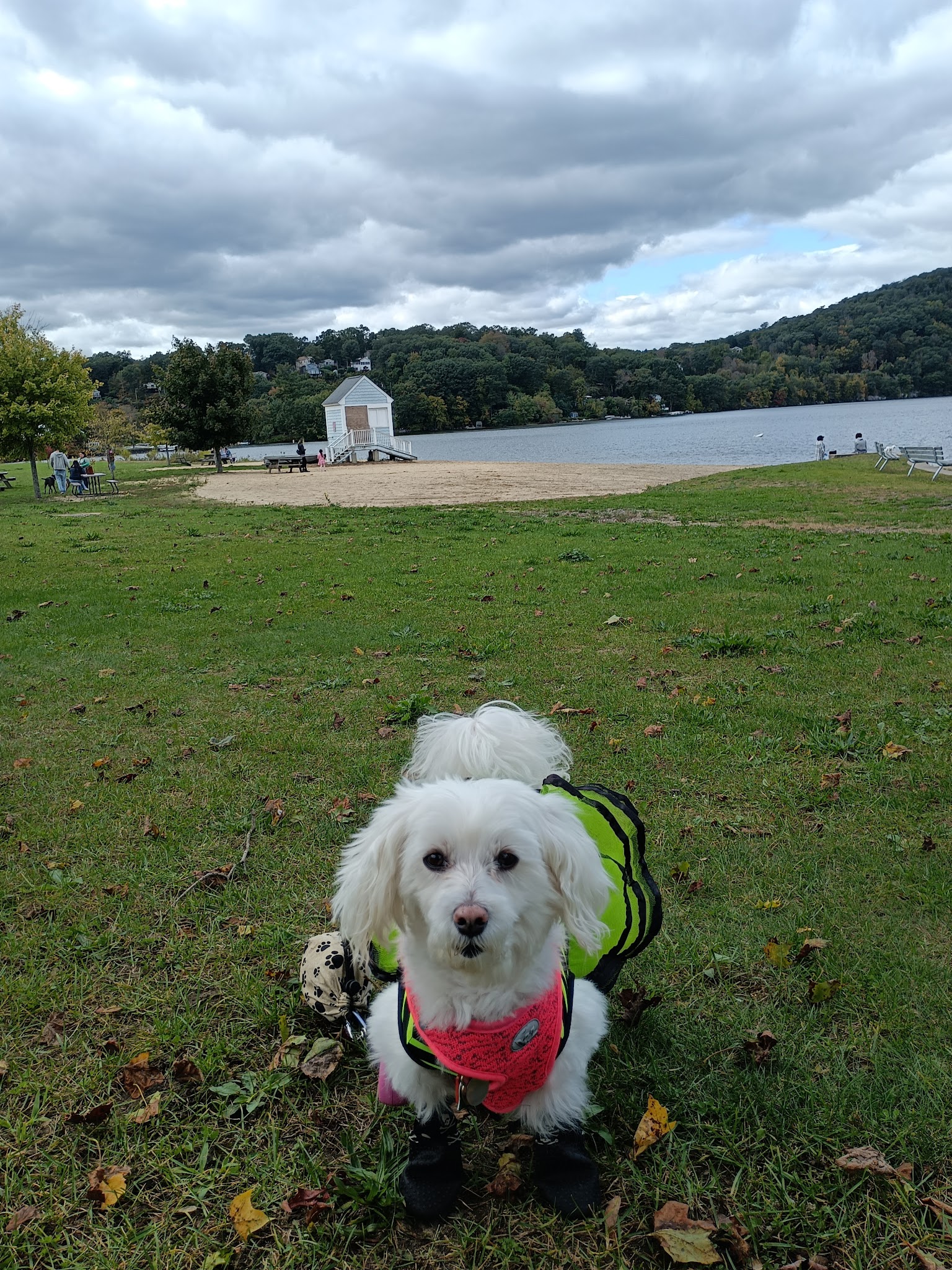 Danbury Dog Rock - Danbury, CT