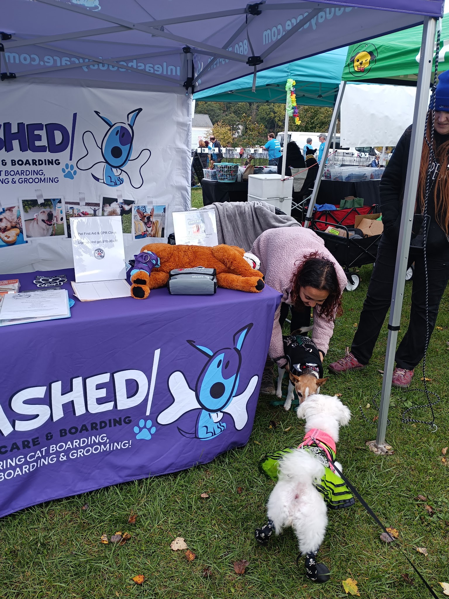 Danbury Dog Rock - Danbury, CT