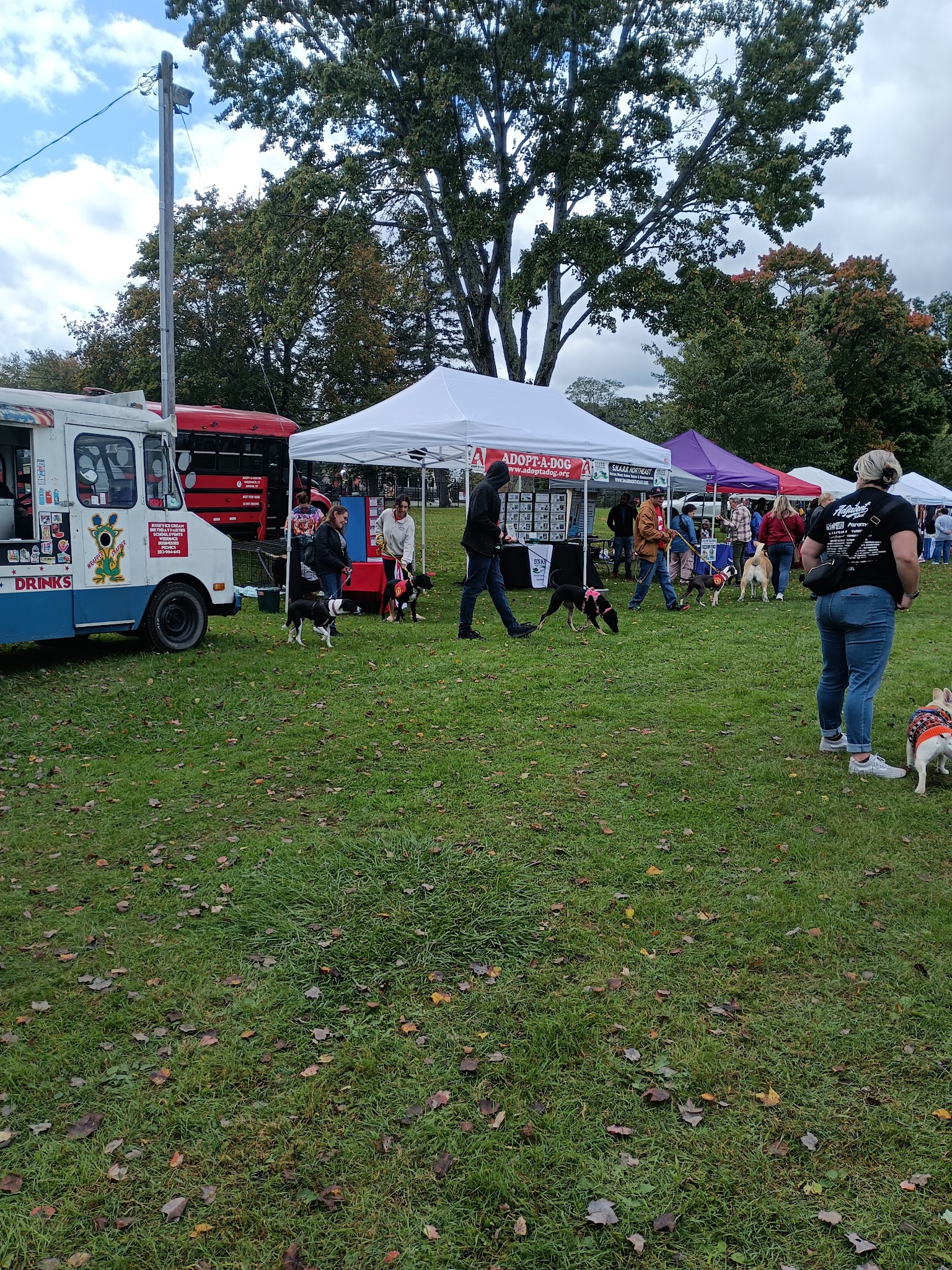 Danbury Dog Rock - Danbury, CT