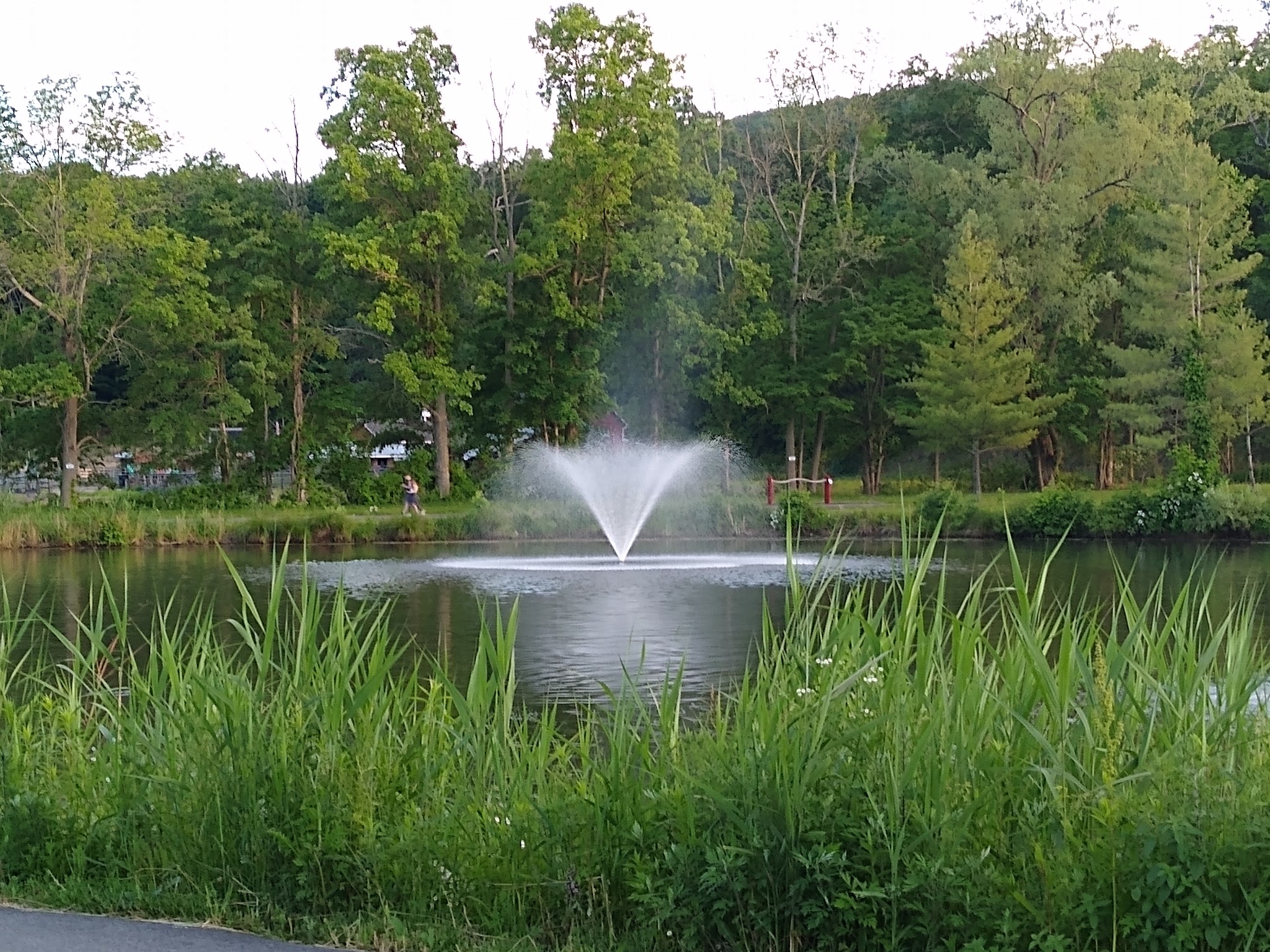 Rogers Park - Danbury, CT