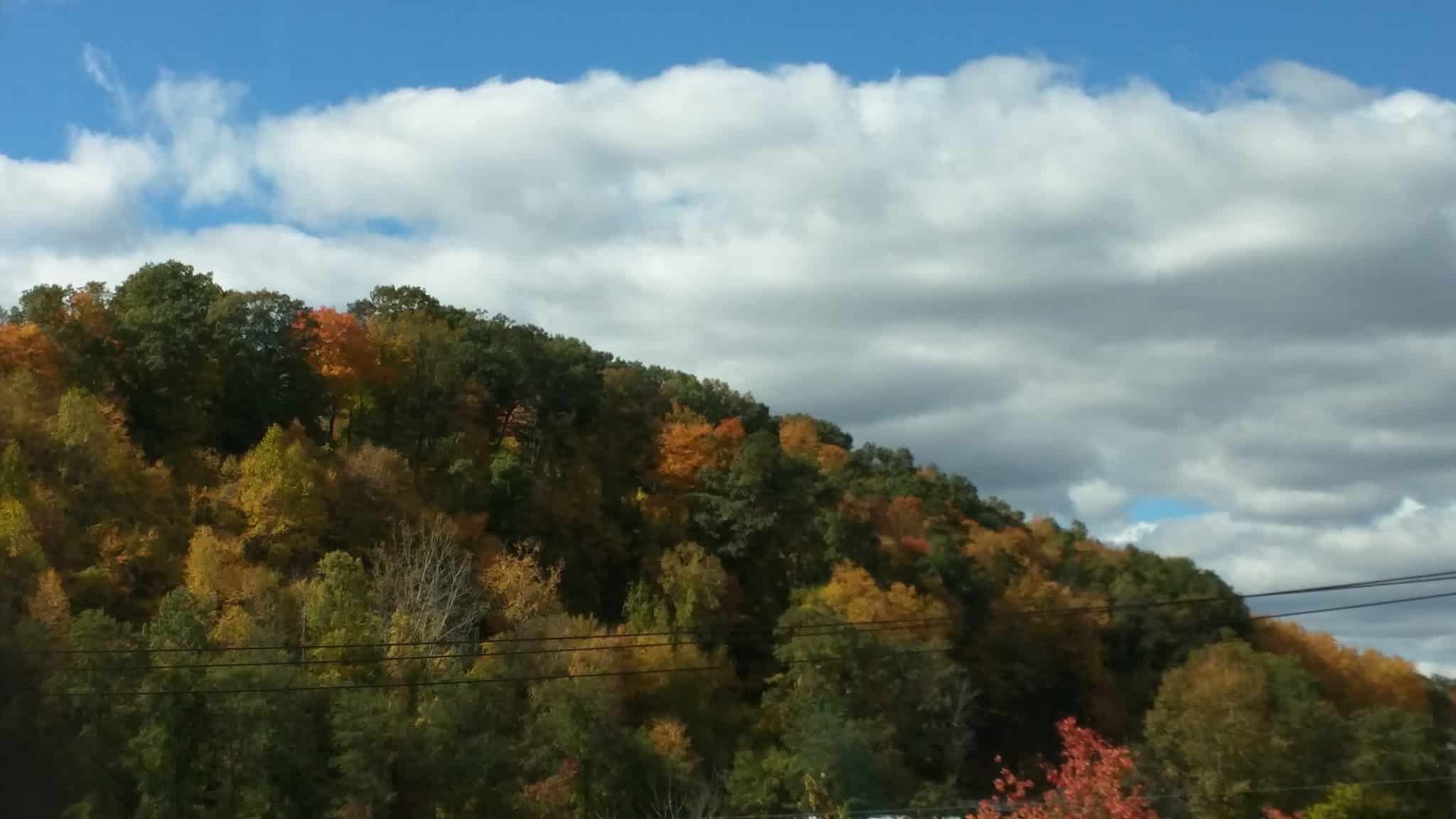 Wooster Mountain State Park Scenic Reserve - Danbury, CT