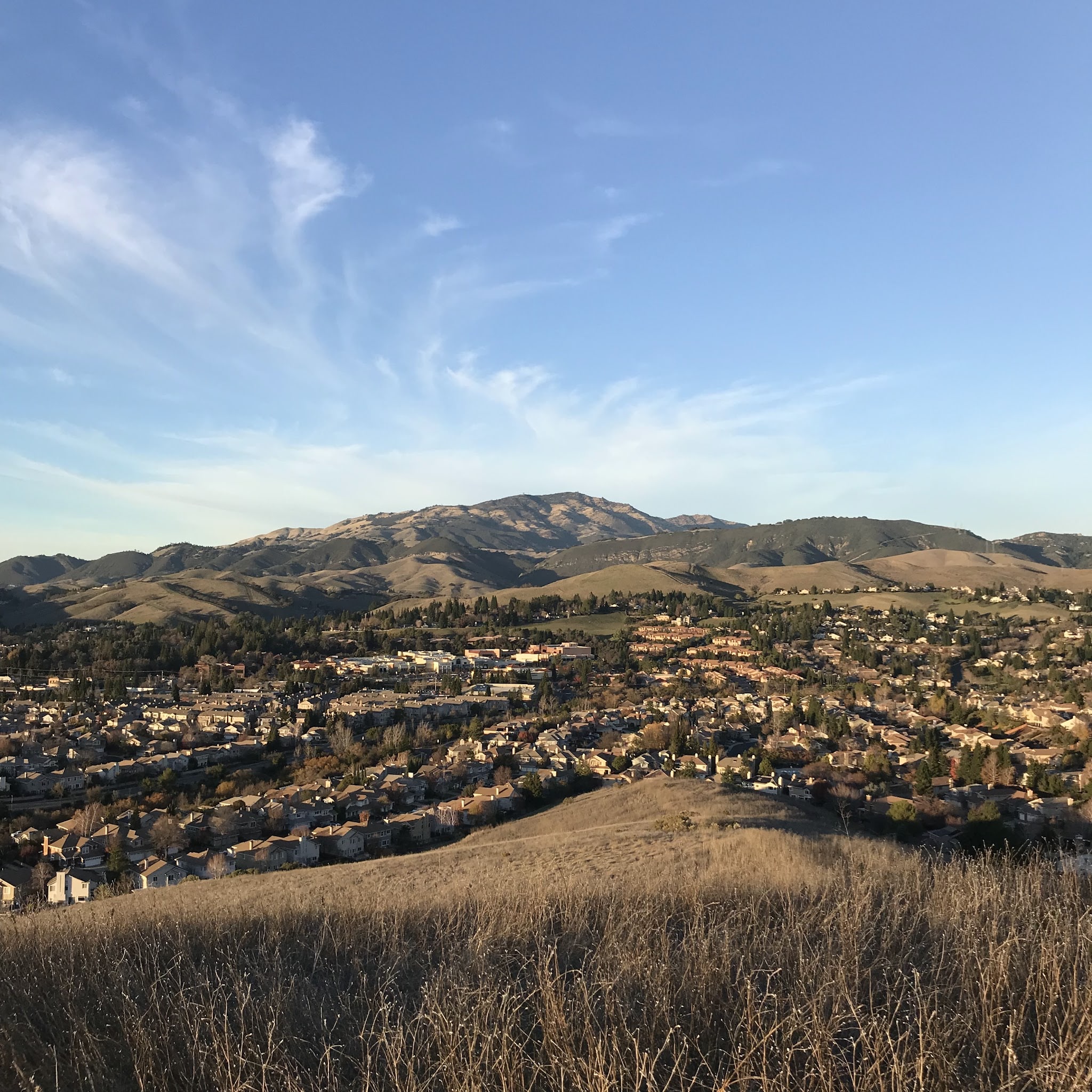 Diablo Vista Park - Danville, CA