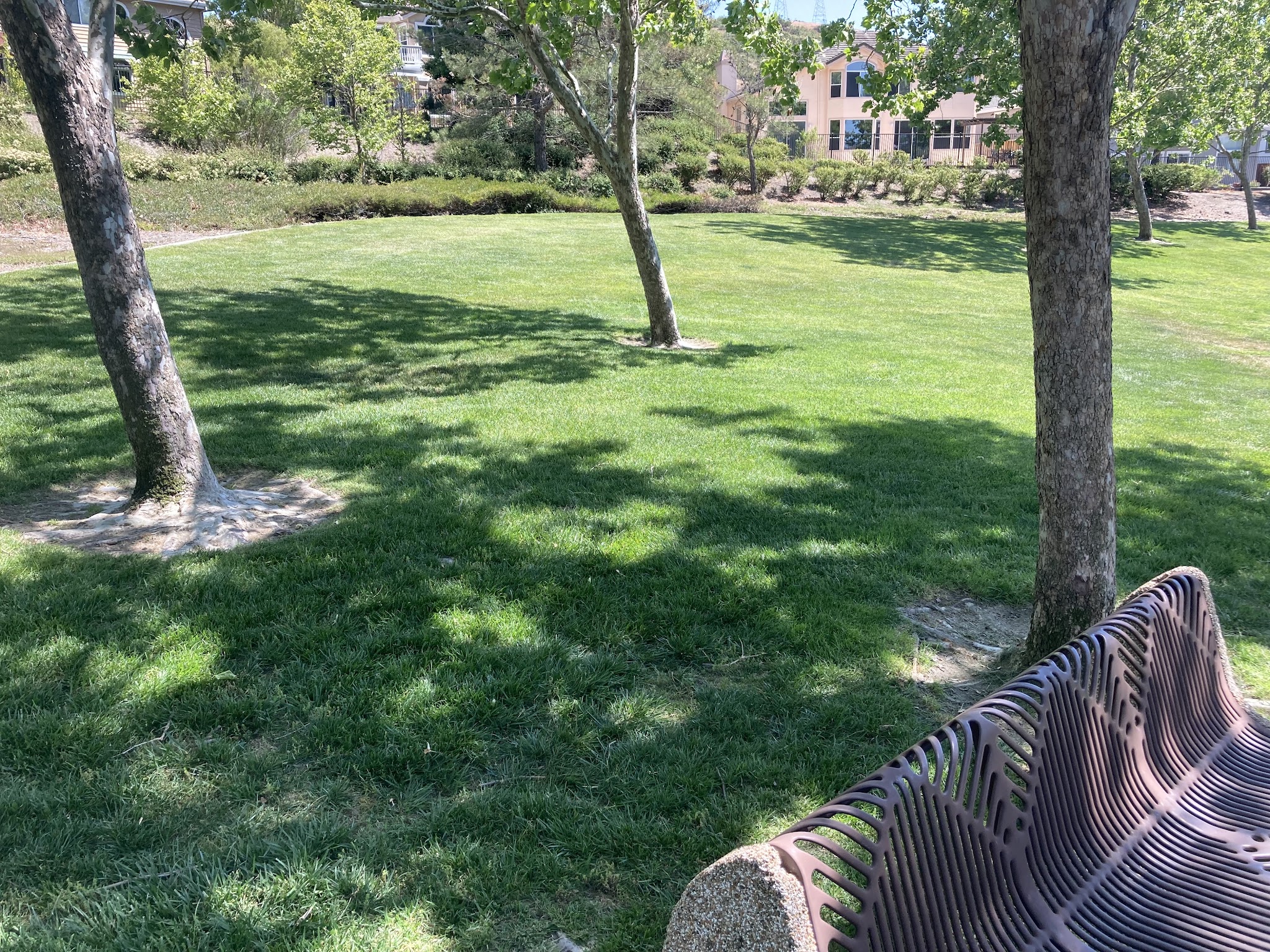 Dunhill Court Park - Danville, CA