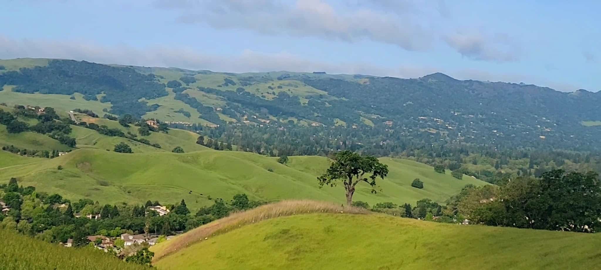 Shady slope trailhead - Danville, CA