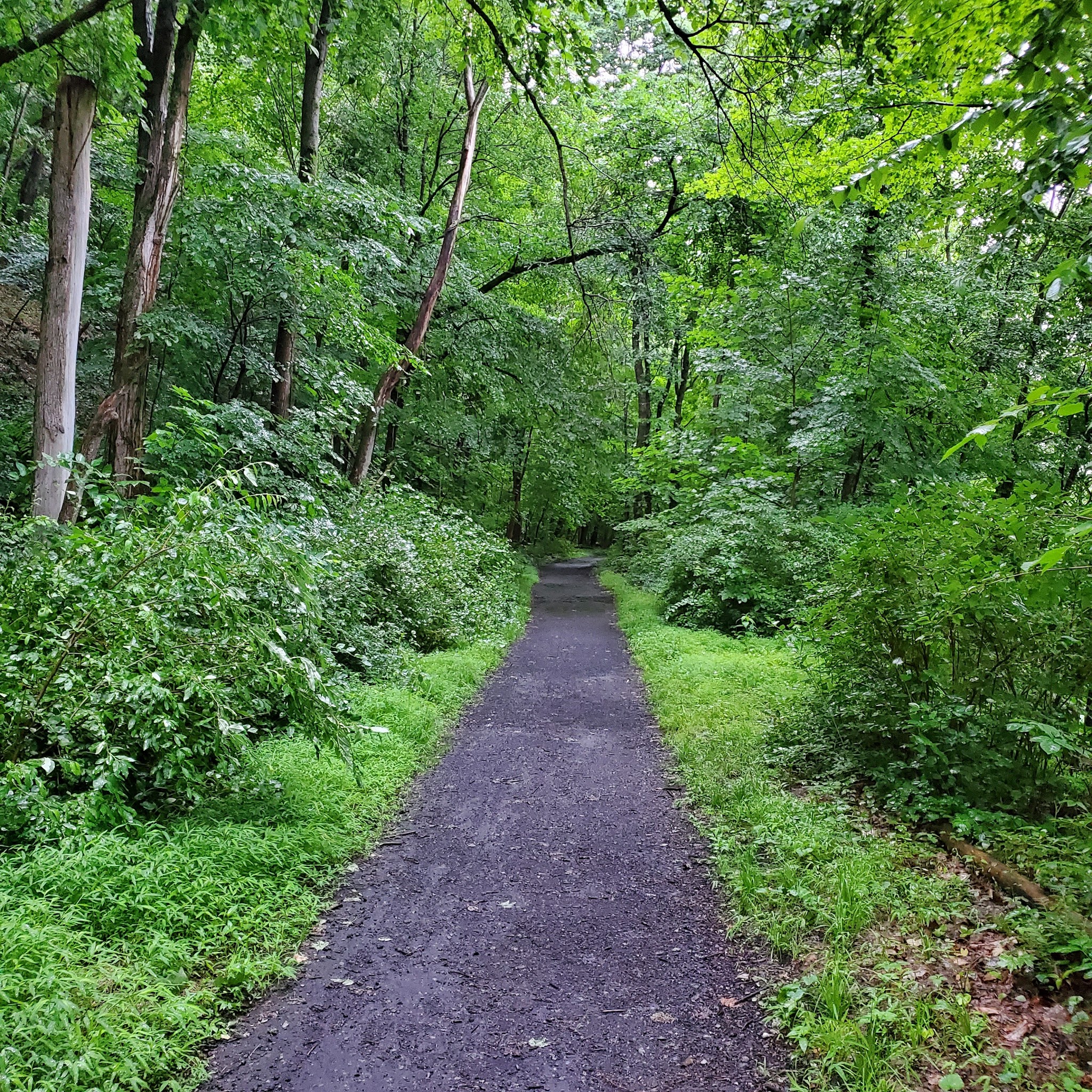 J. Manley Robbins Trailhead - Danville, PA