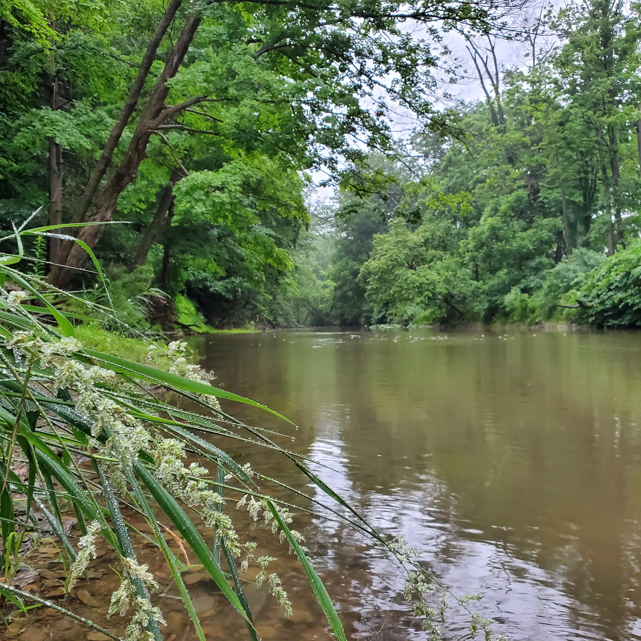 J. Manley Robbins Trailhead - Danville, PA