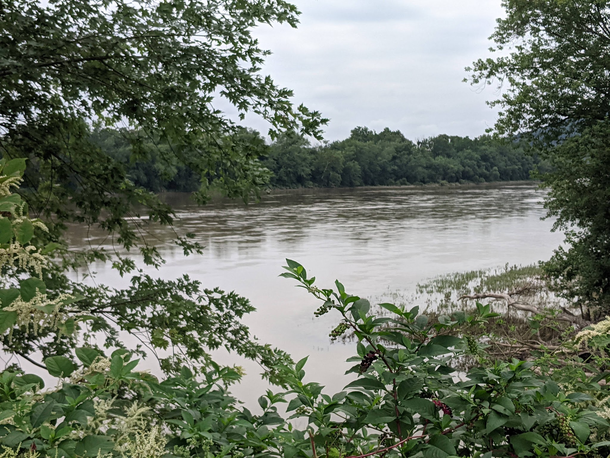 F.Q. Hartman Recreation Area - Danville, PA