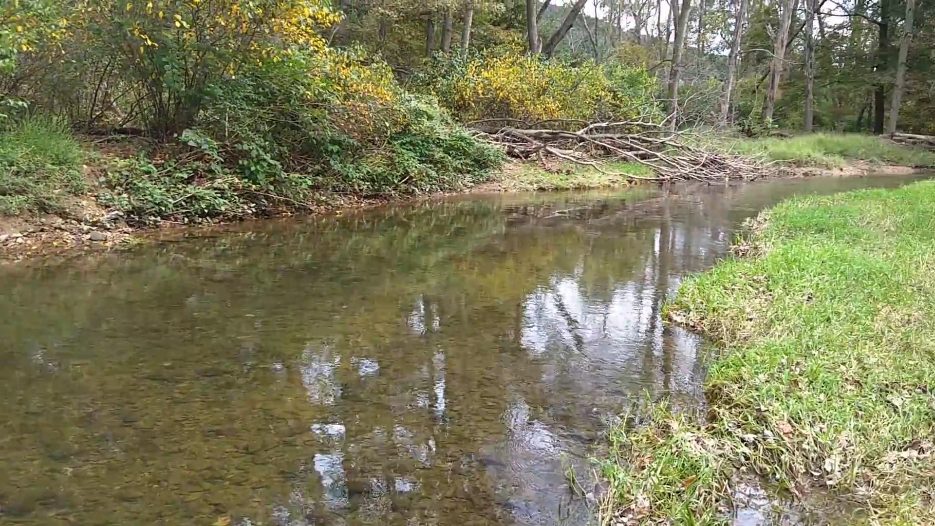 Hess Recreation Area - Danville, PA