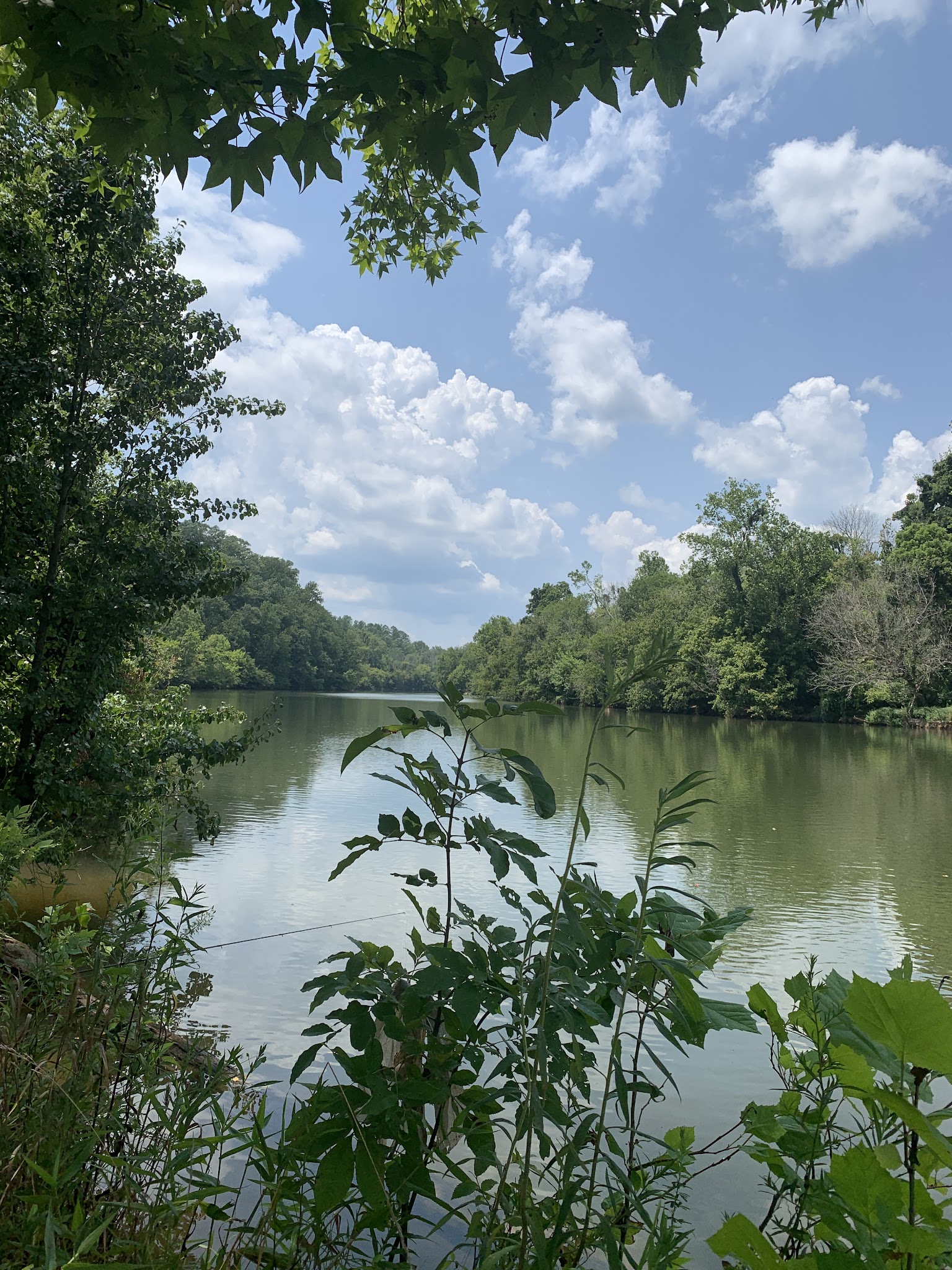 Abreu Grogan Park - Danville, VA