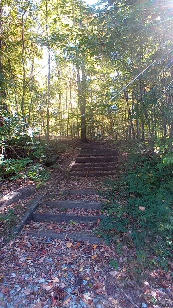Ballou Park Shelter 10 - Danville, VA