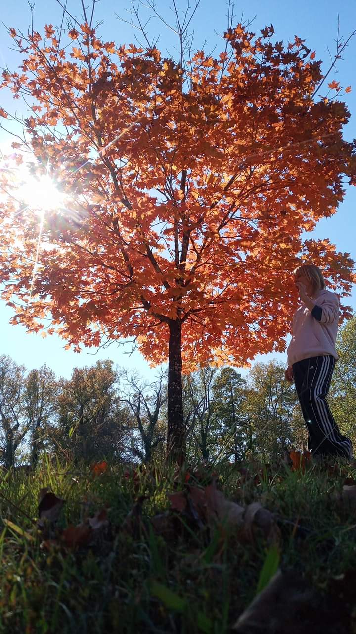 Ballou Park Shelter 10 - Danville, VA