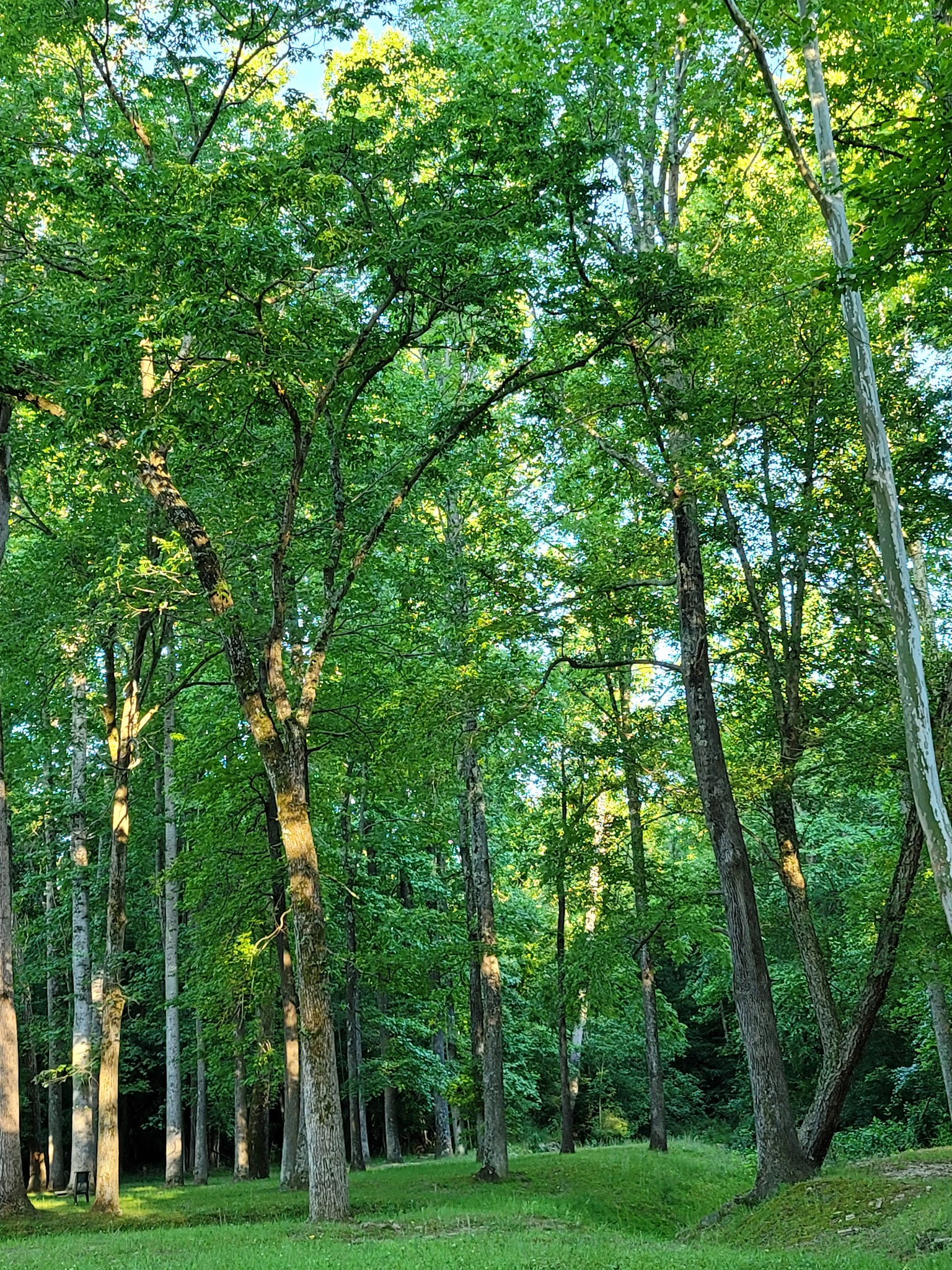 Druid Hills Park - Danville, VA