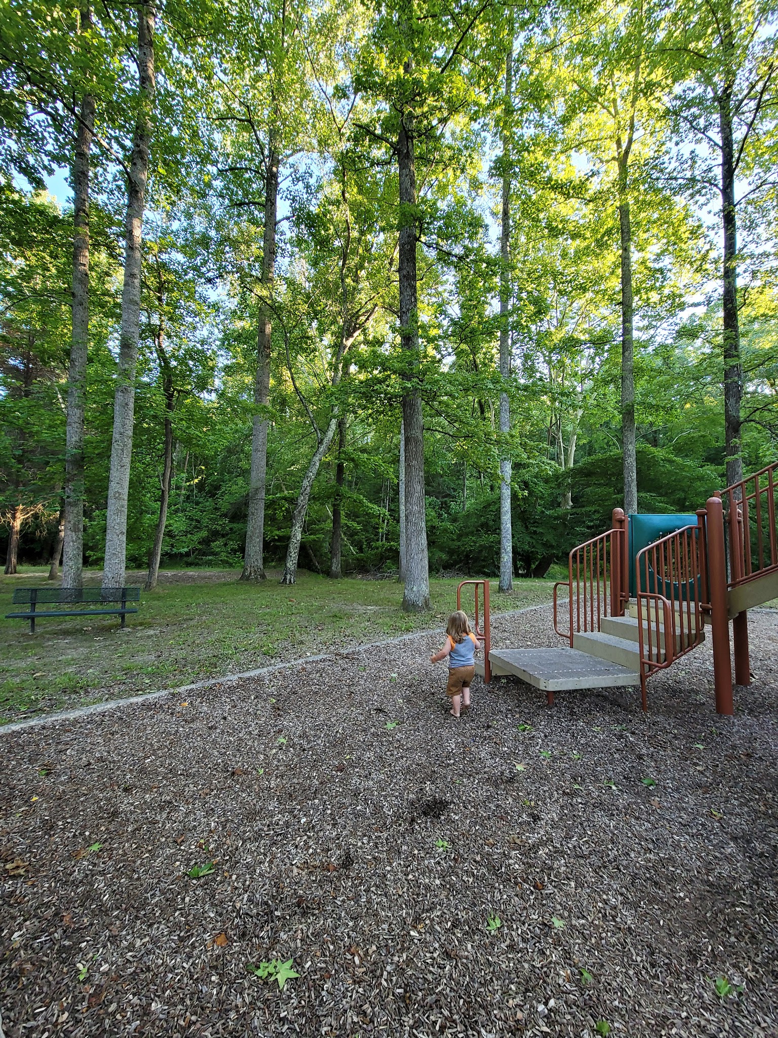 Druid Hills Park - Danville, VA