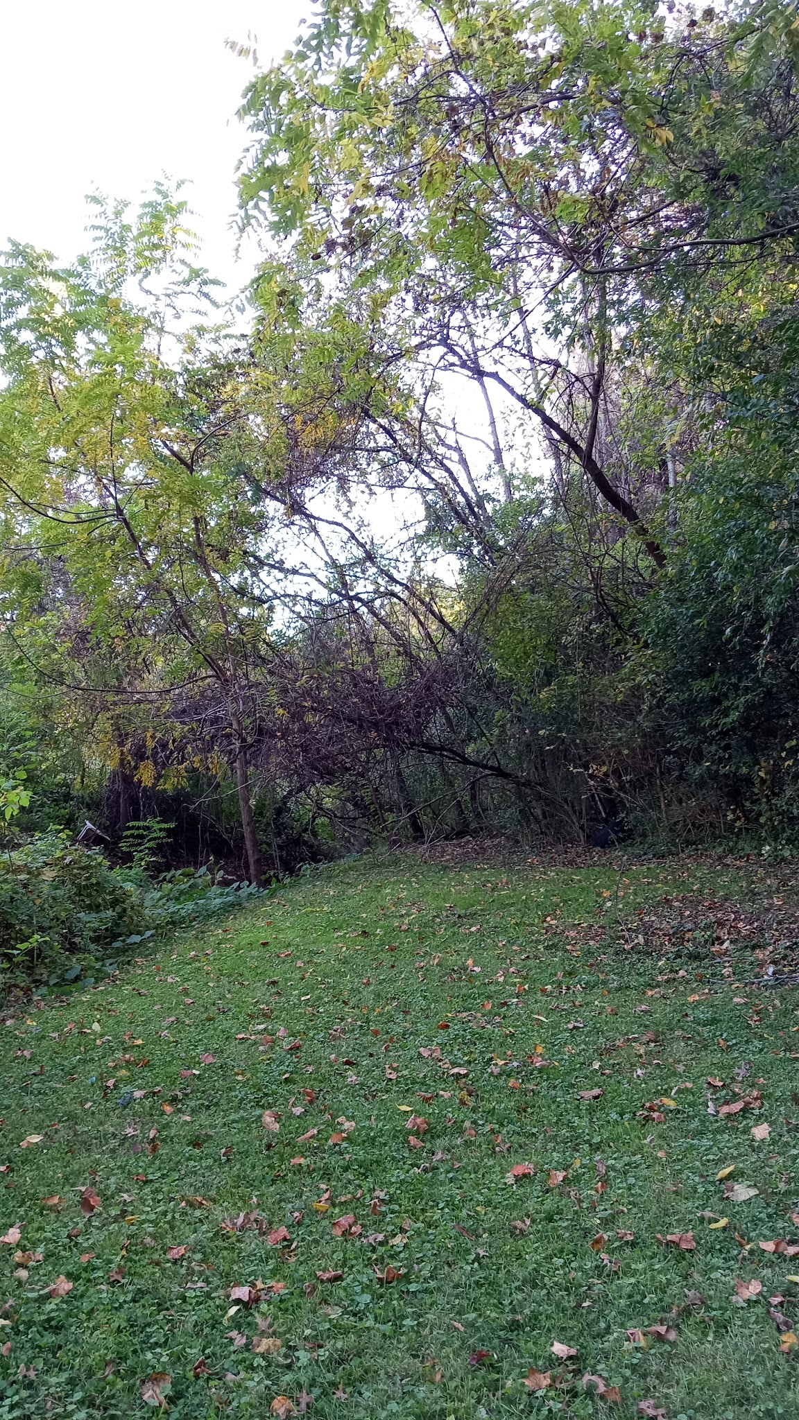 M.C. Martin Park - Danville, VA