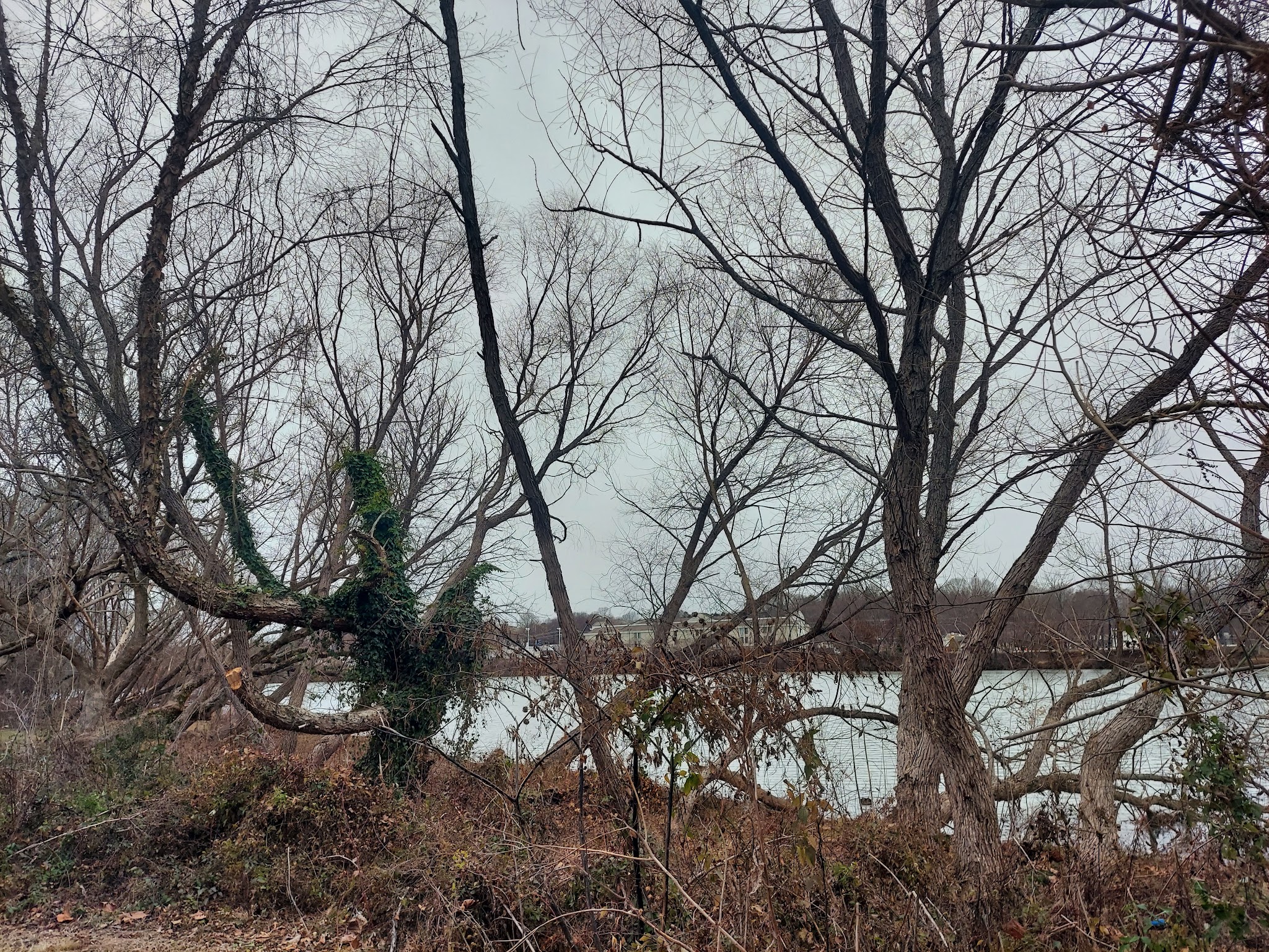 M.C. Martin Park - Danville, VA