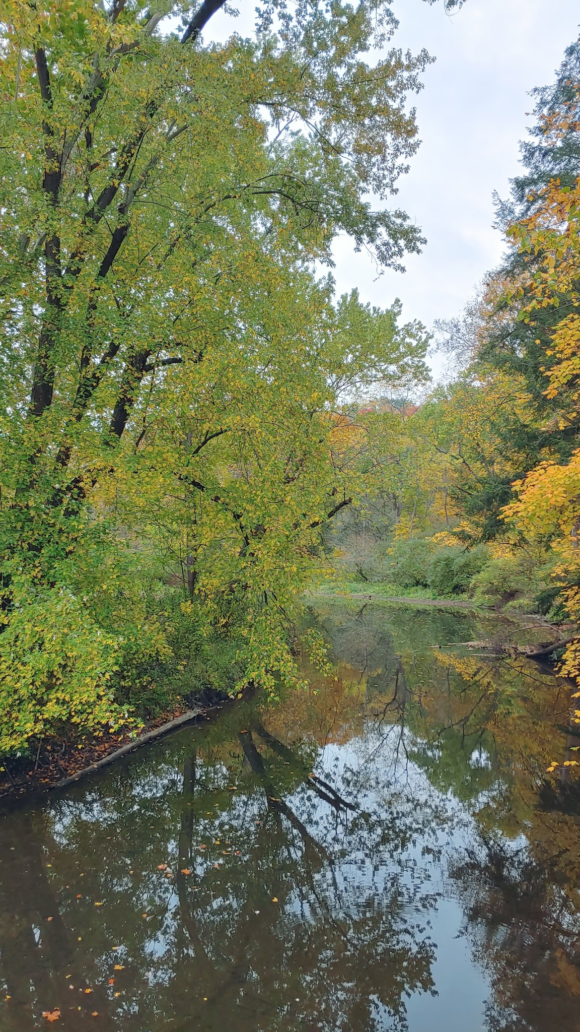 North Country Trail Cannelton, Pa - Darlington, PA