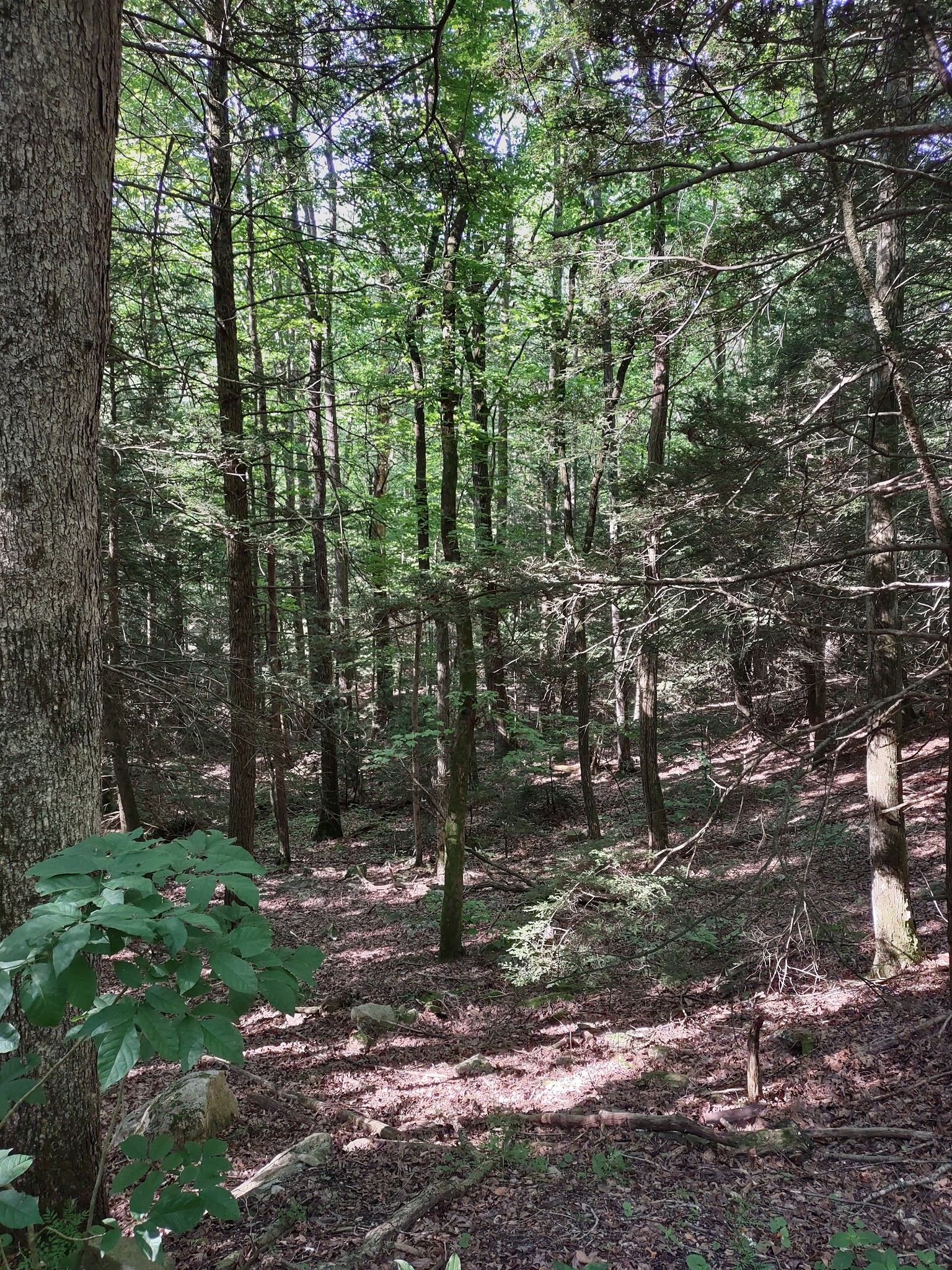 Ellendale Trailhead for Rattling Run Trail - Dauphin, PA