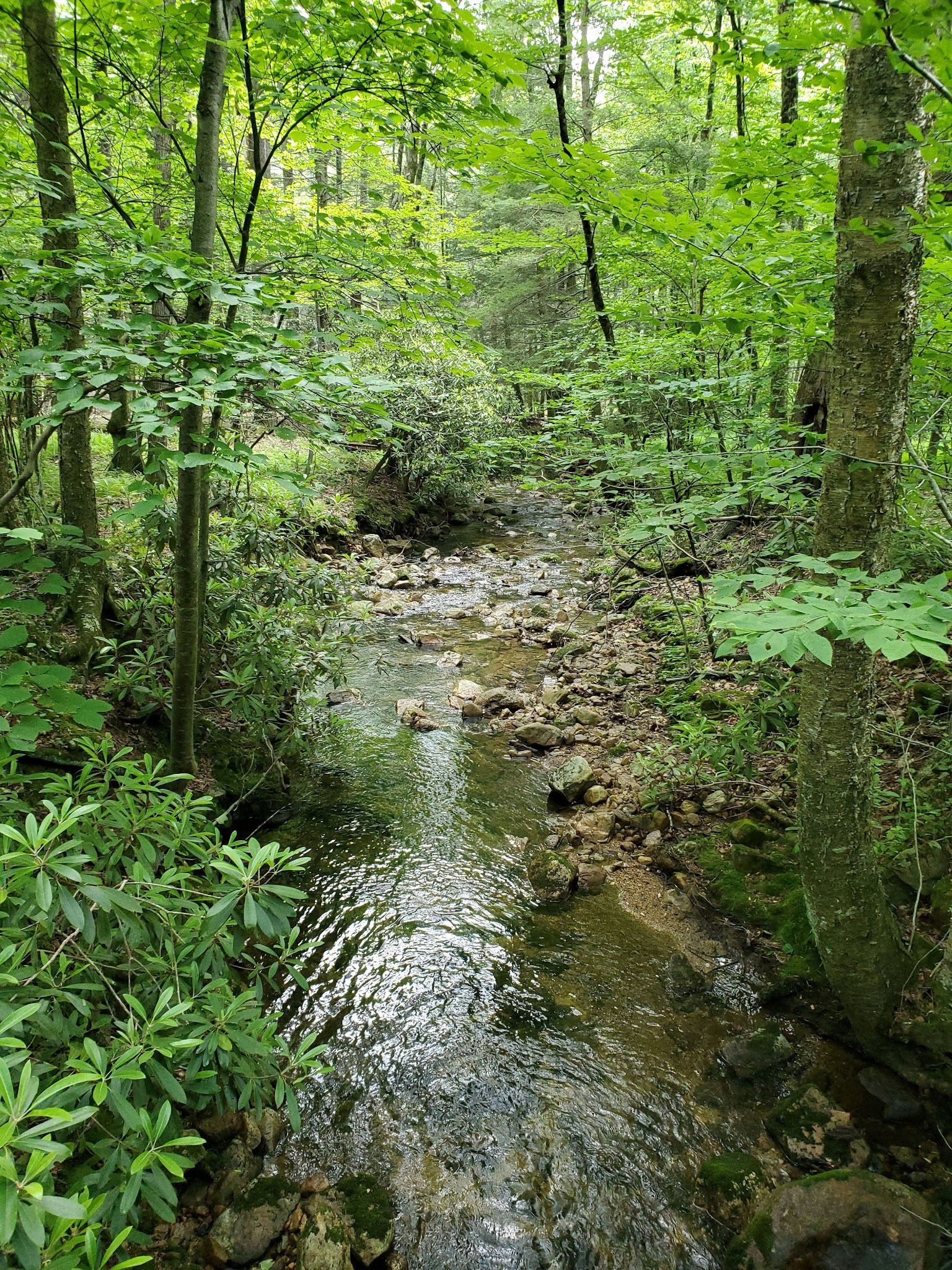 Ellendale Trailhead for Rattling Run Trail - Dauphin, PA