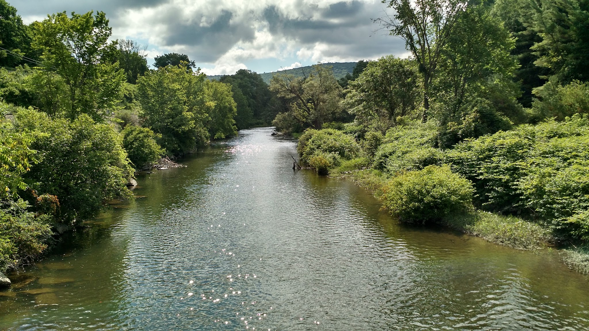 Robert V. Riddell State Park - Davenport, NY