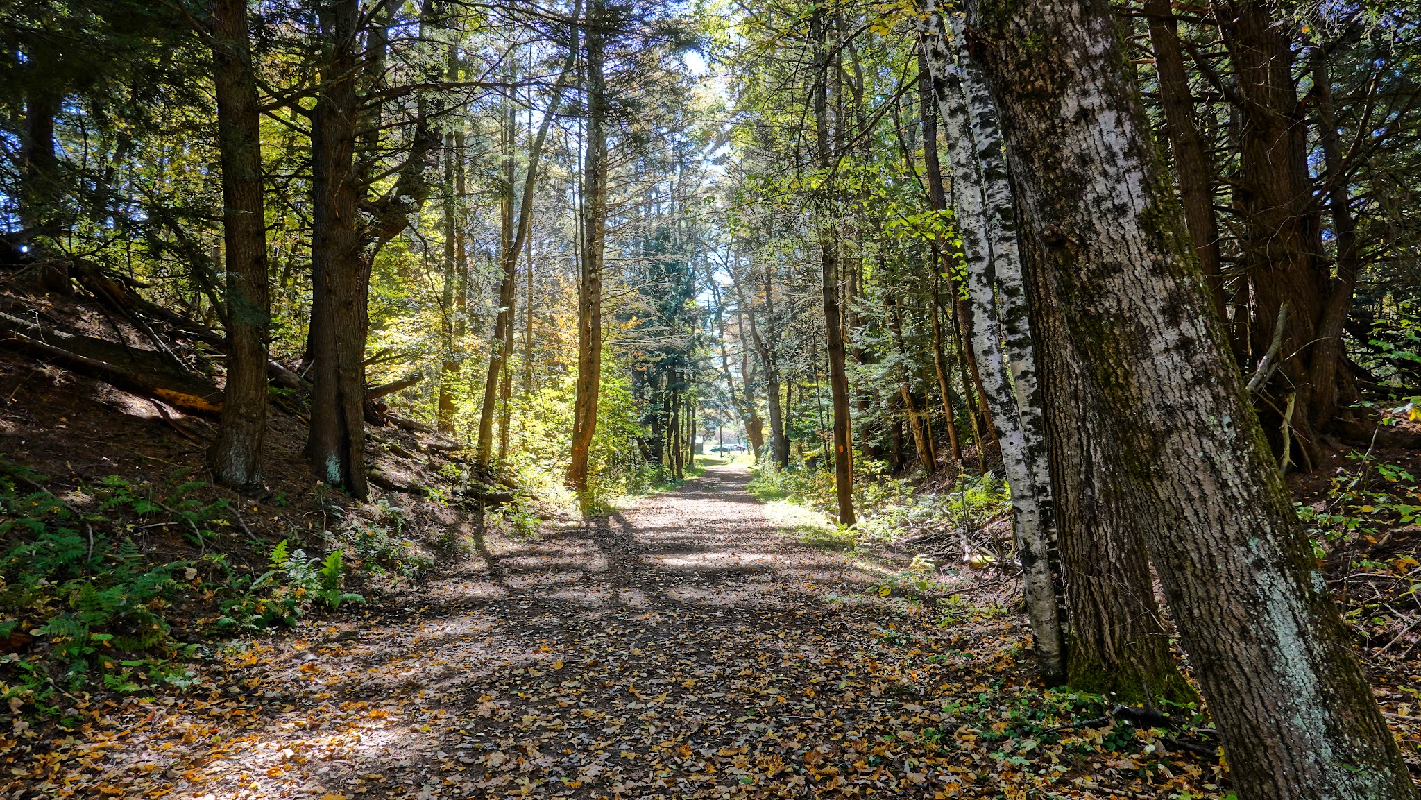 Robert V. Riddell State Park - Davenport, NY