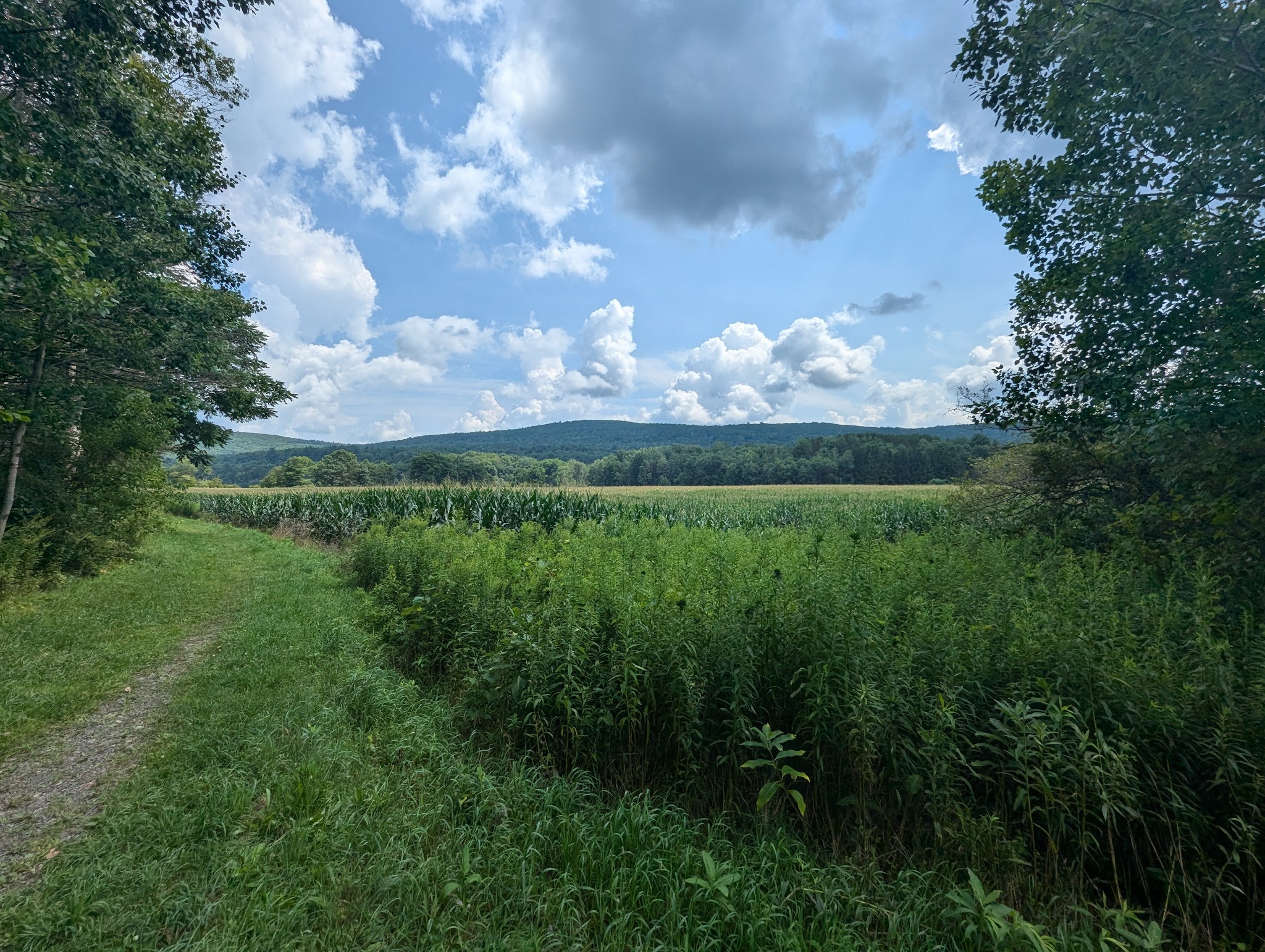 Robert V. Riddell State Park - Davenport, NY