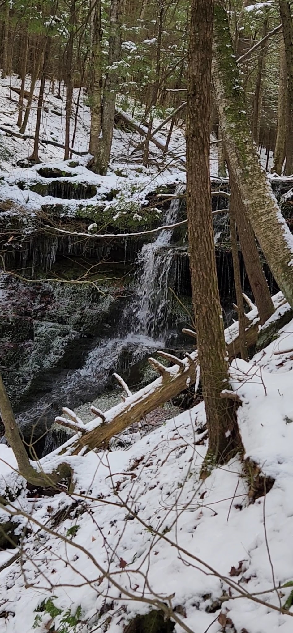 Robert V. Riddell State Park - Davenport, NY