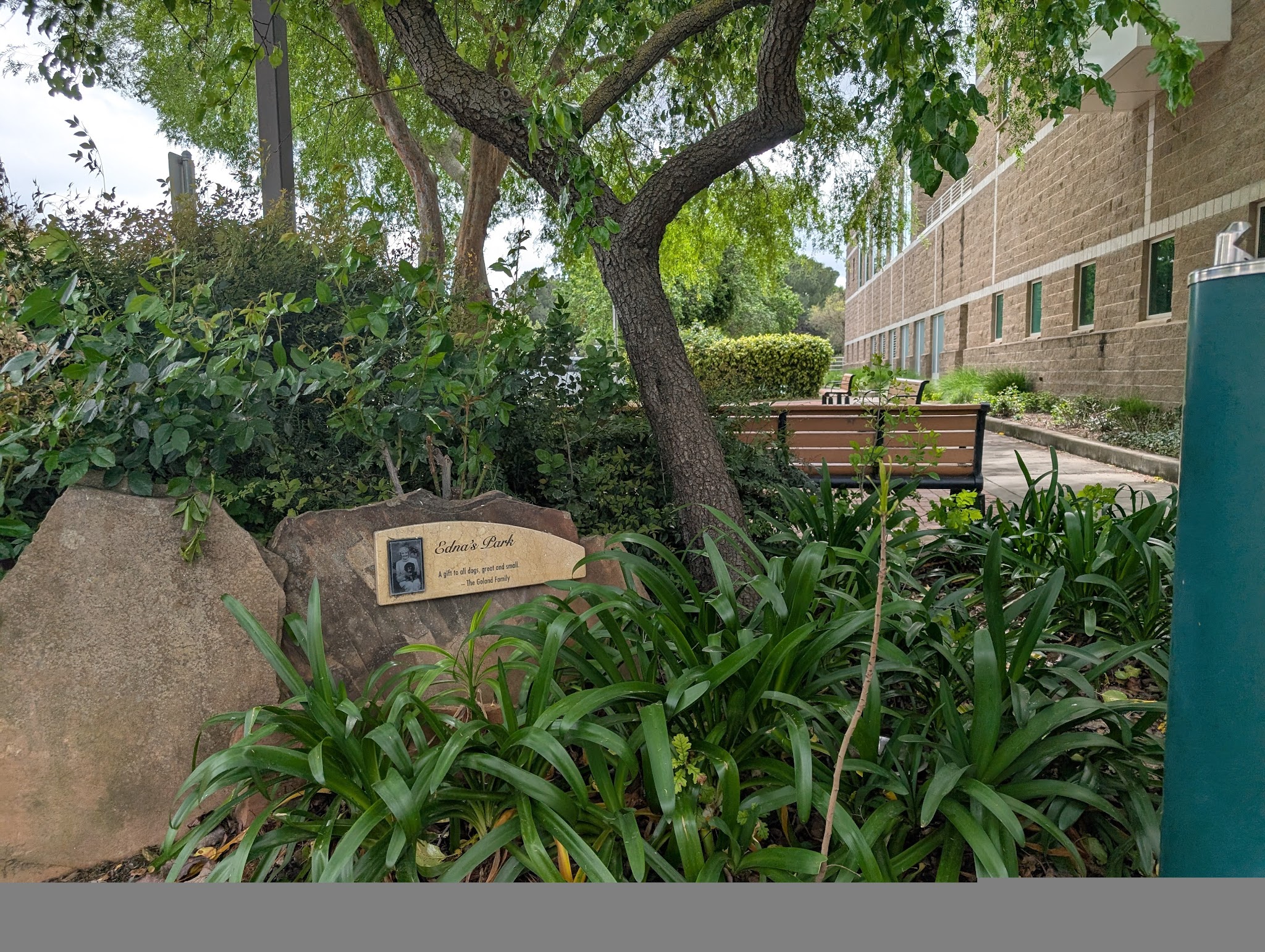 Edna's Playground - Davis, CA