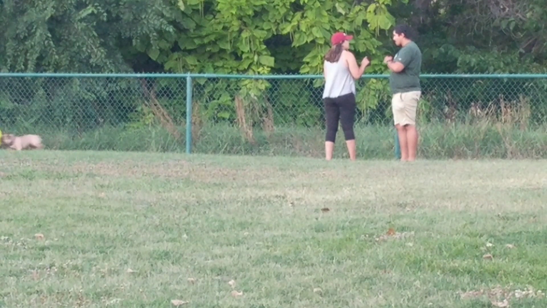 Toad Hollow Dog Park - Davis, CA