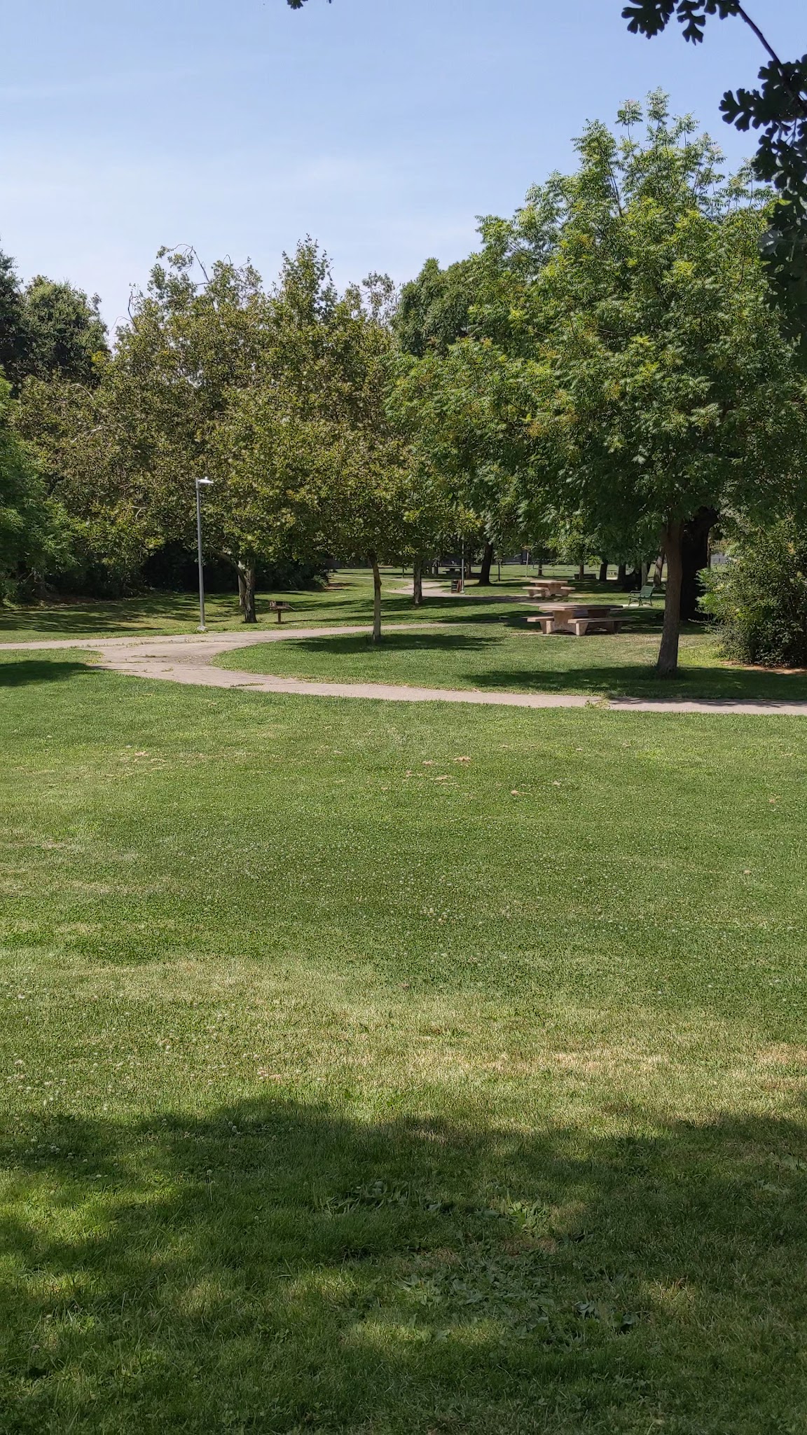 Walnut Park Unfenced Offleash Dog Area - Davis, CA