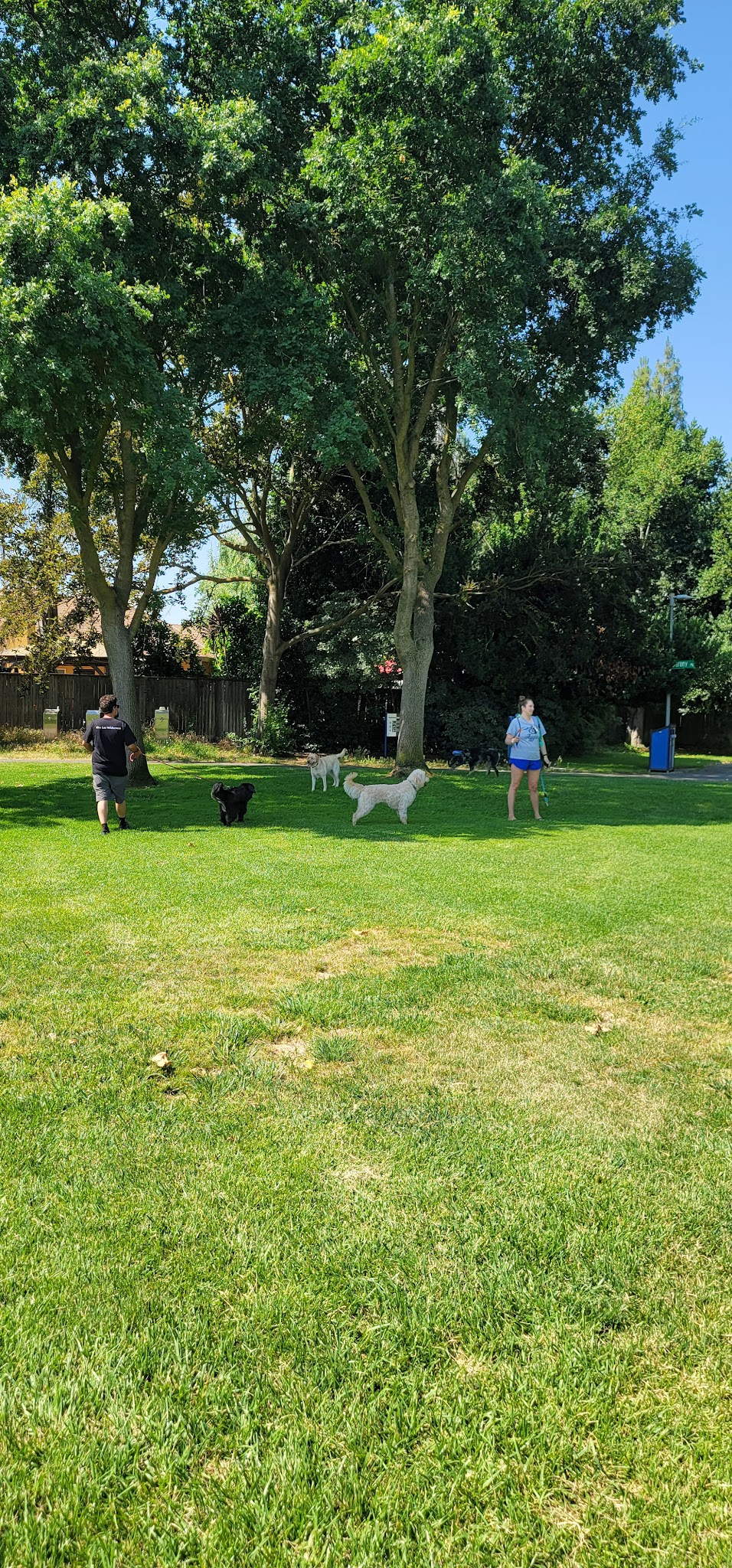 Walnut Park Unfenced Offleash Dog Area - Davis, CA