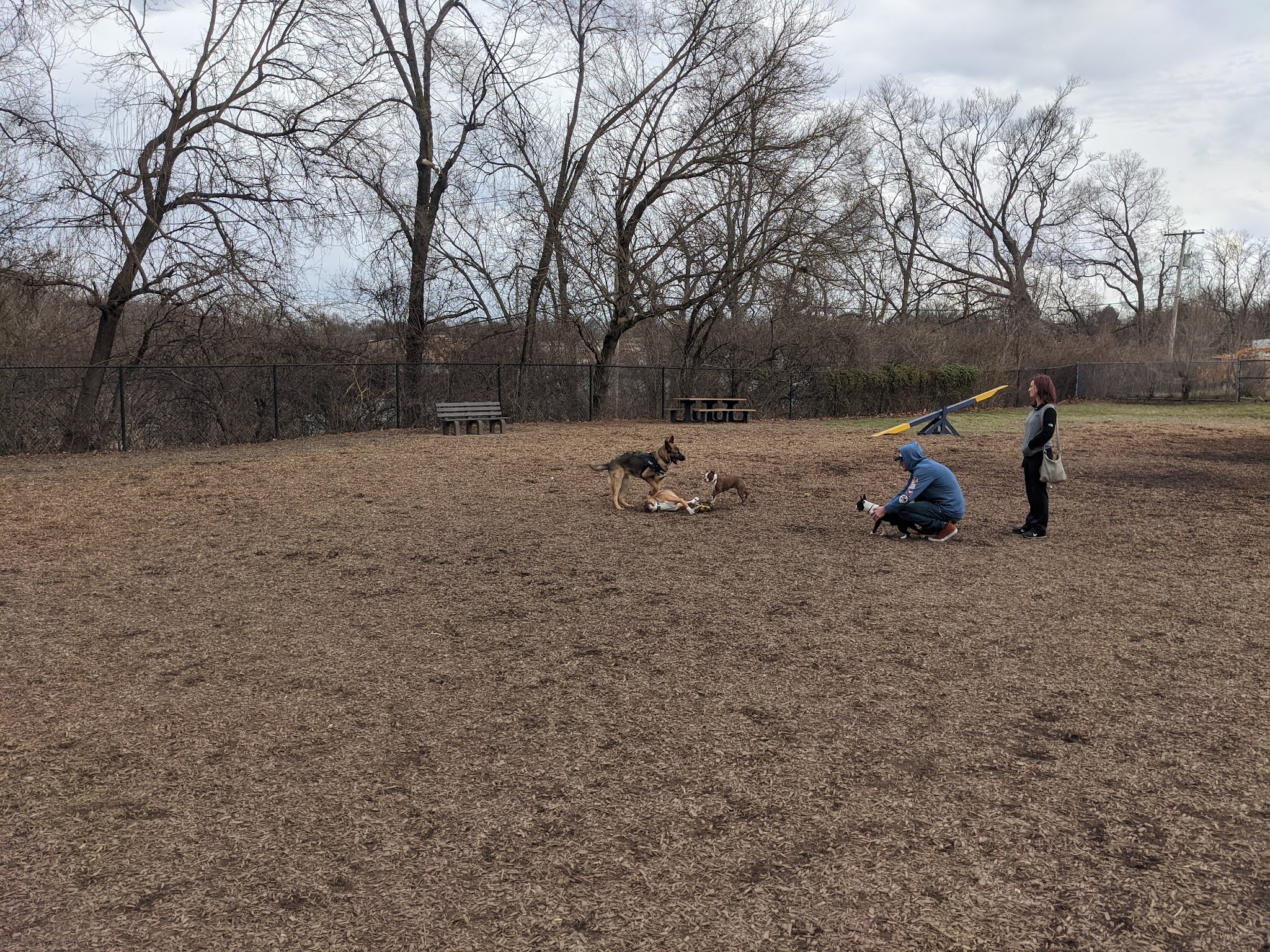 Creager Field Dog Park - Dayton, OH