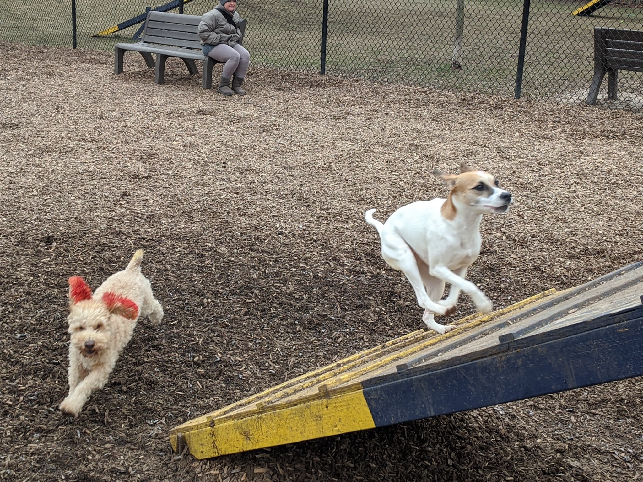 Creager Field Dog Park - Dayton, OH