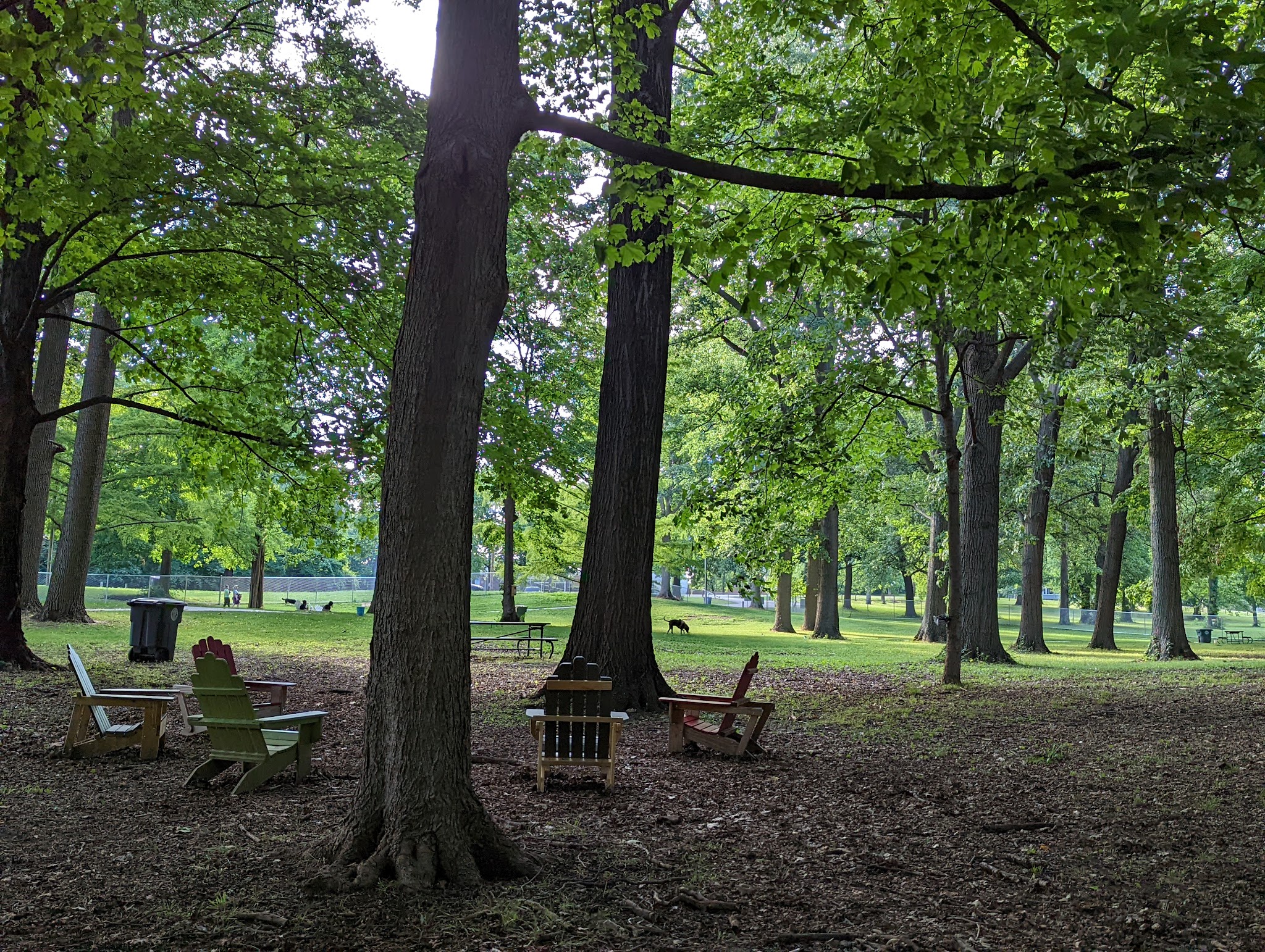 Deeds Point Dog Park - Dayton, OH