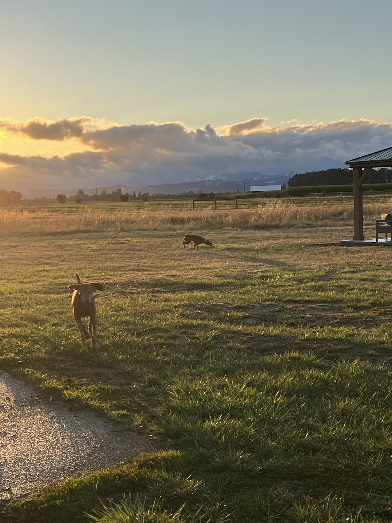 Coast Range Sniffspot / Rome private dog park - Dayton, OR