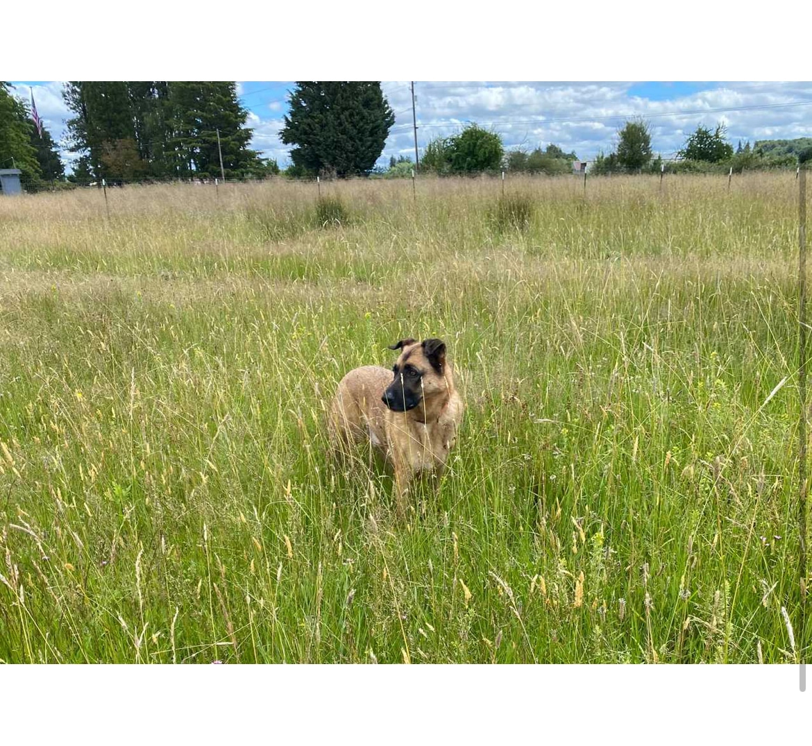 Coast Range Sniffspot / Rome private dog park - Dayton, OR