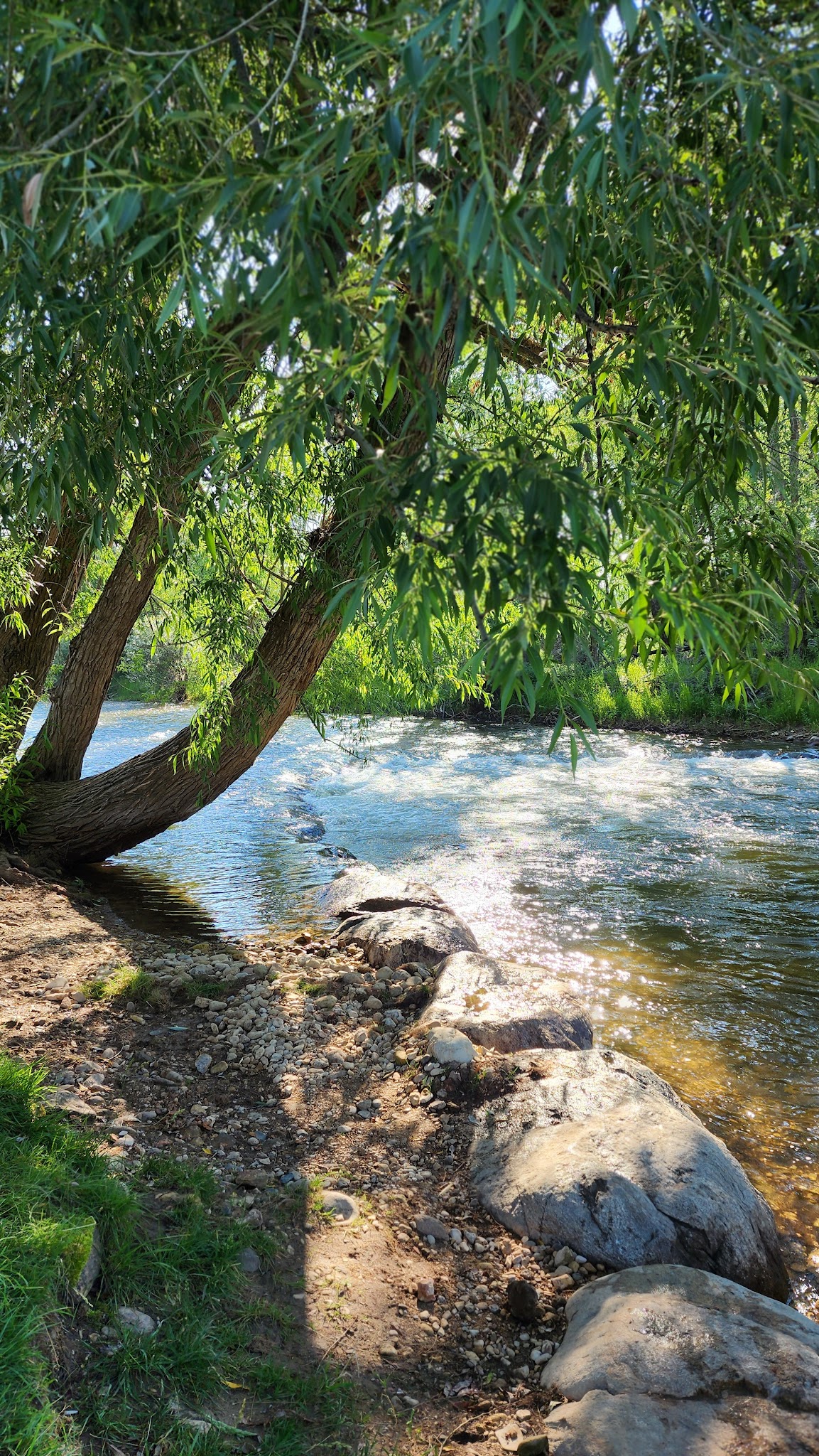 Scott Bicentennial Park - Dayton, WY