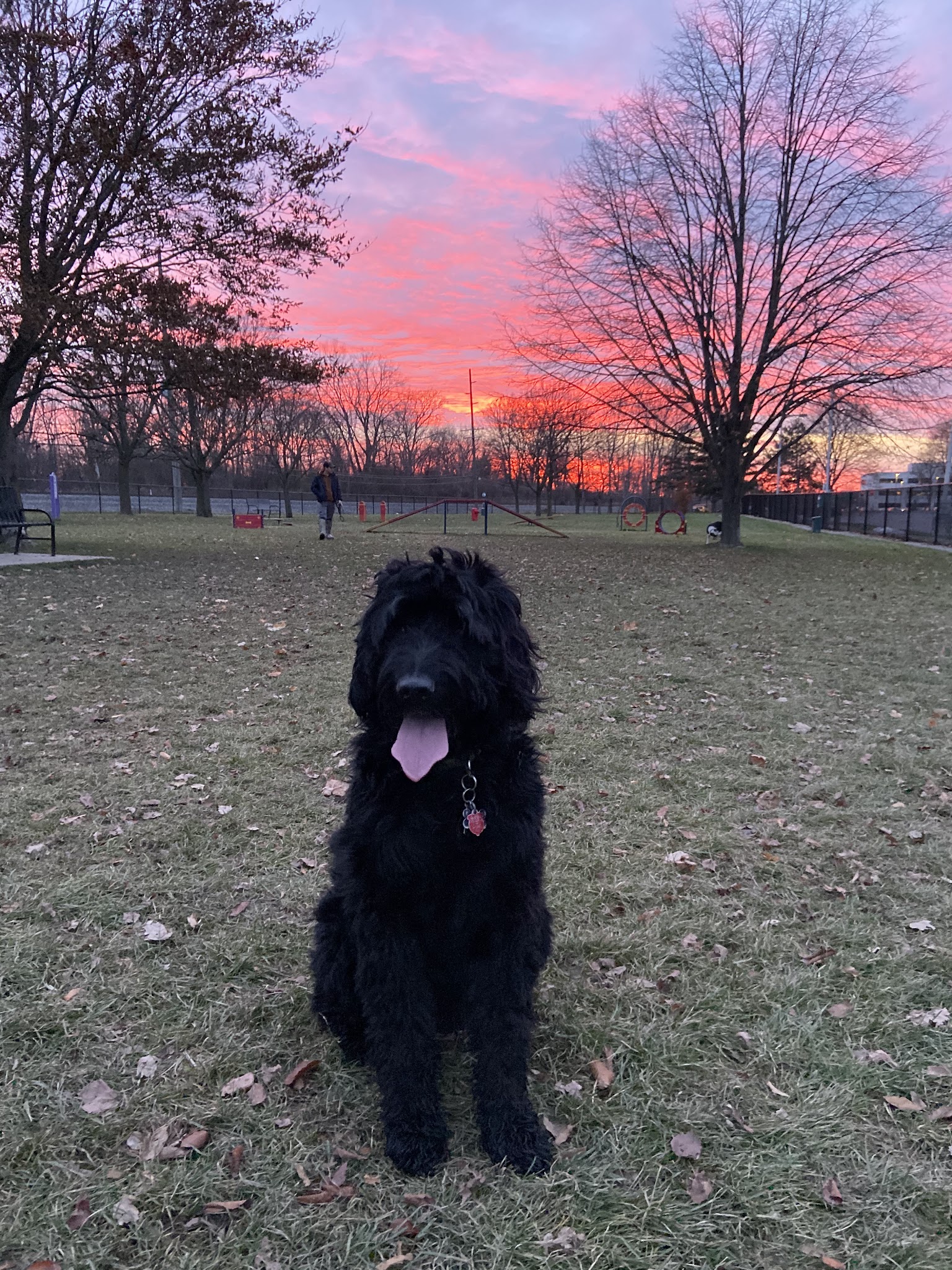 Dearborn Dog Park (Members Only) - Dearborn, MI