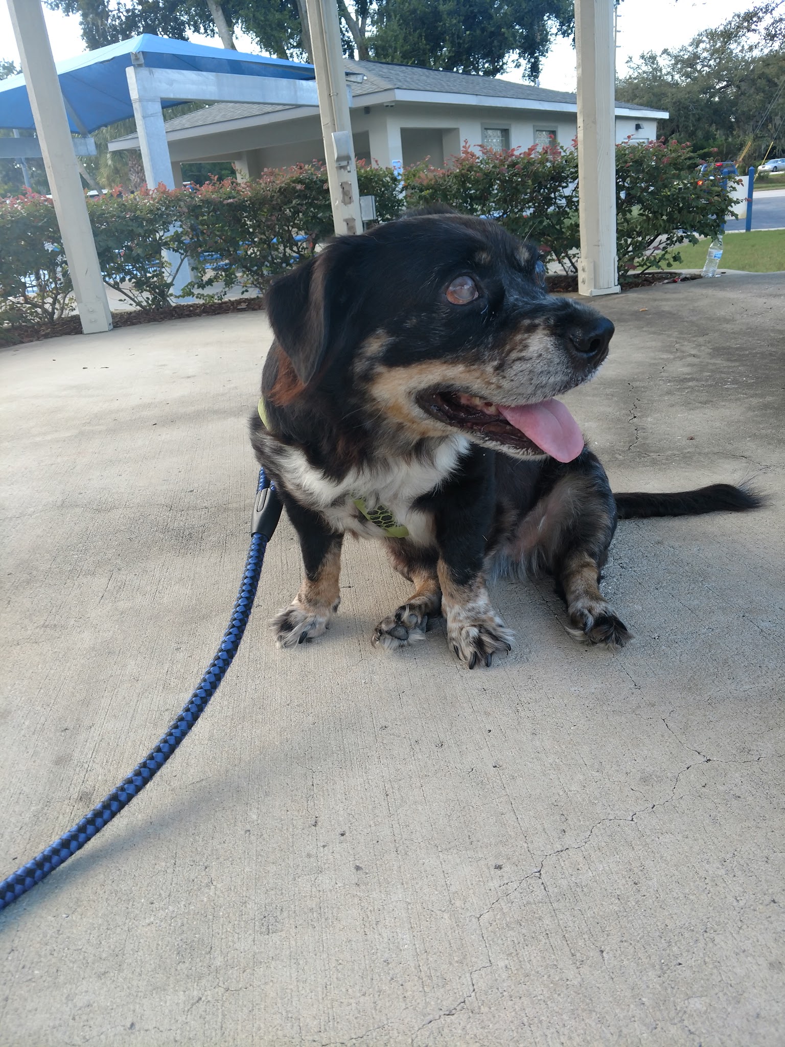 Community Park - DeBary, FL