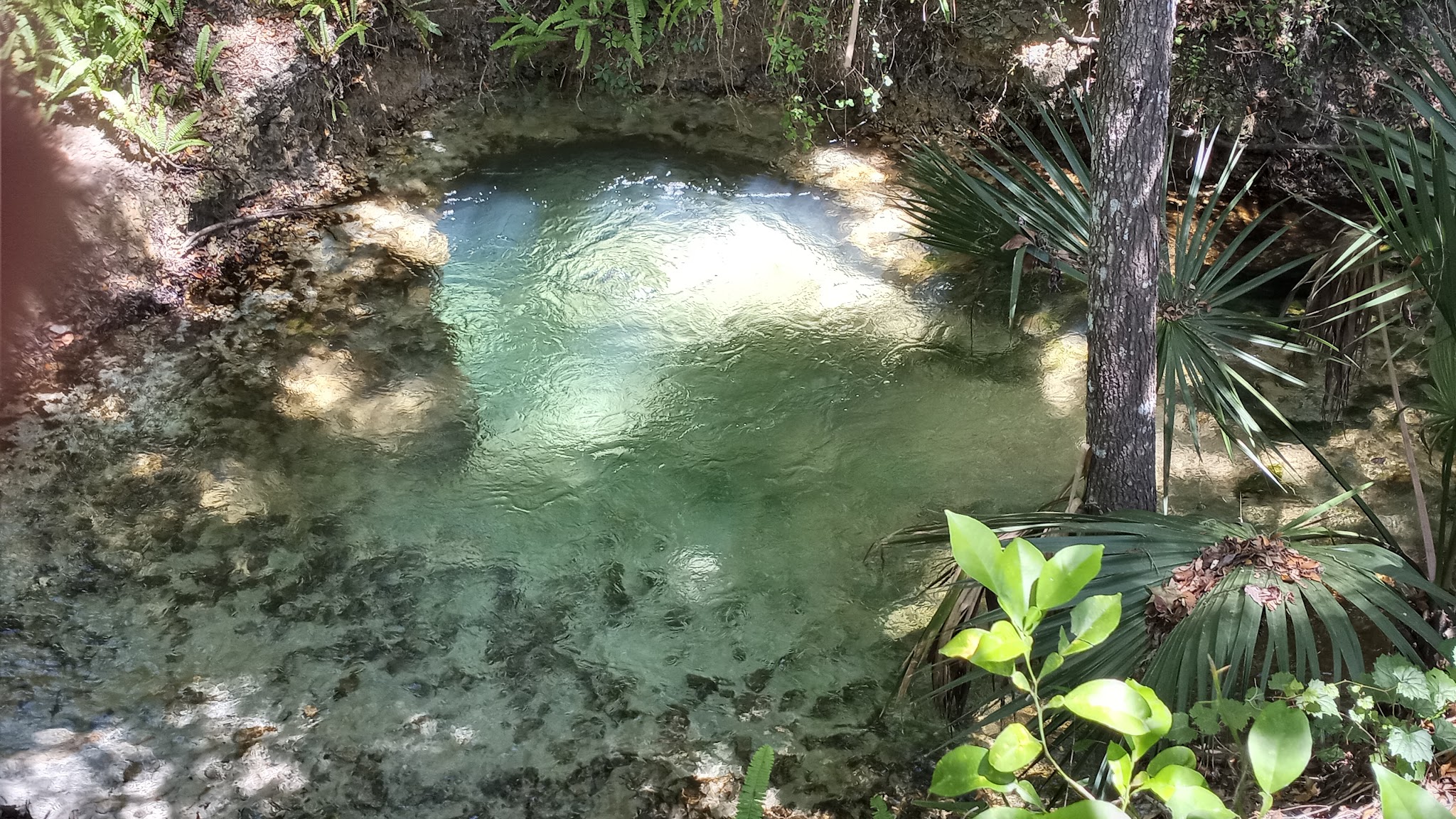 Gemini Springs North Trailhead - DeBary, FL